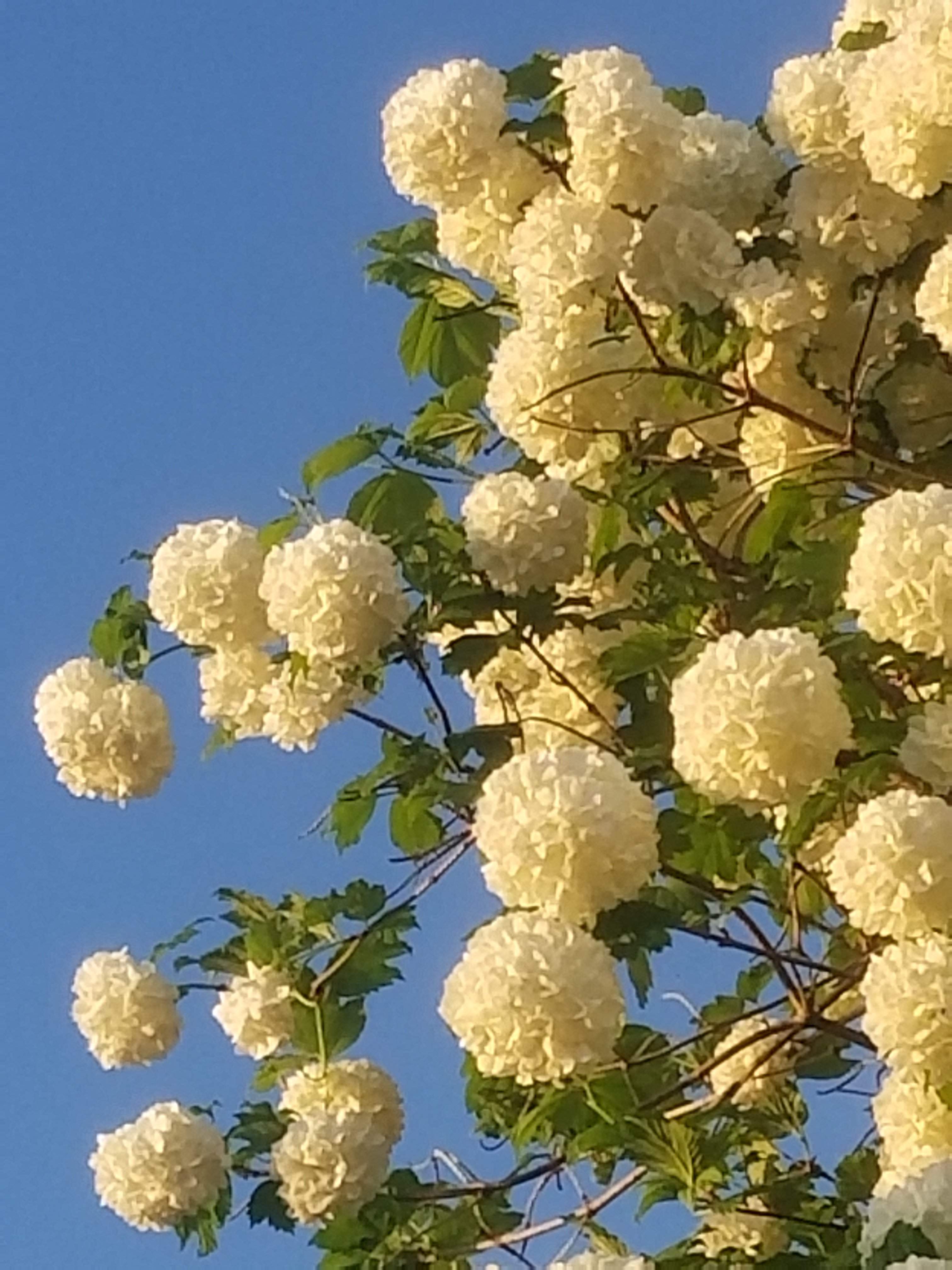 20180513_061044.jpg