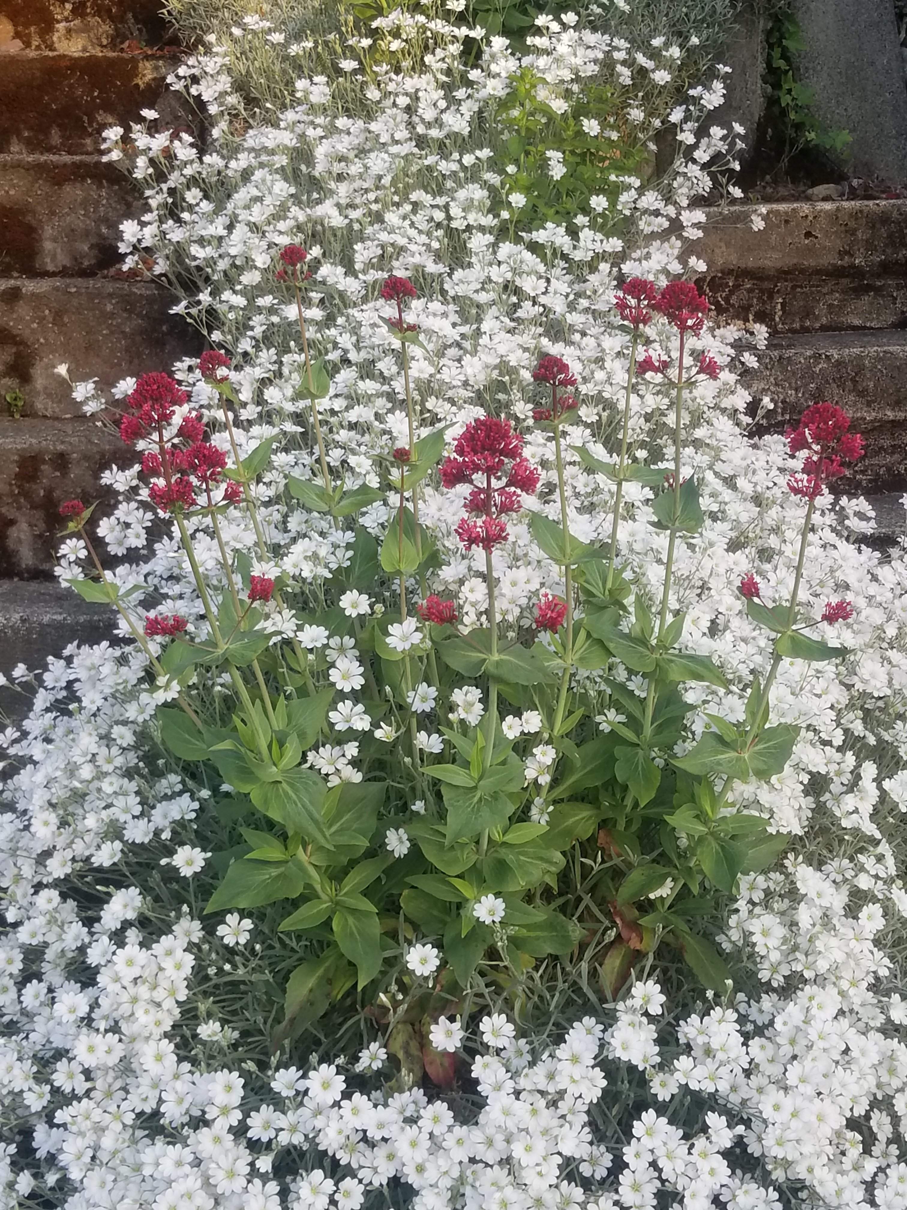 20180513_061334.jpg