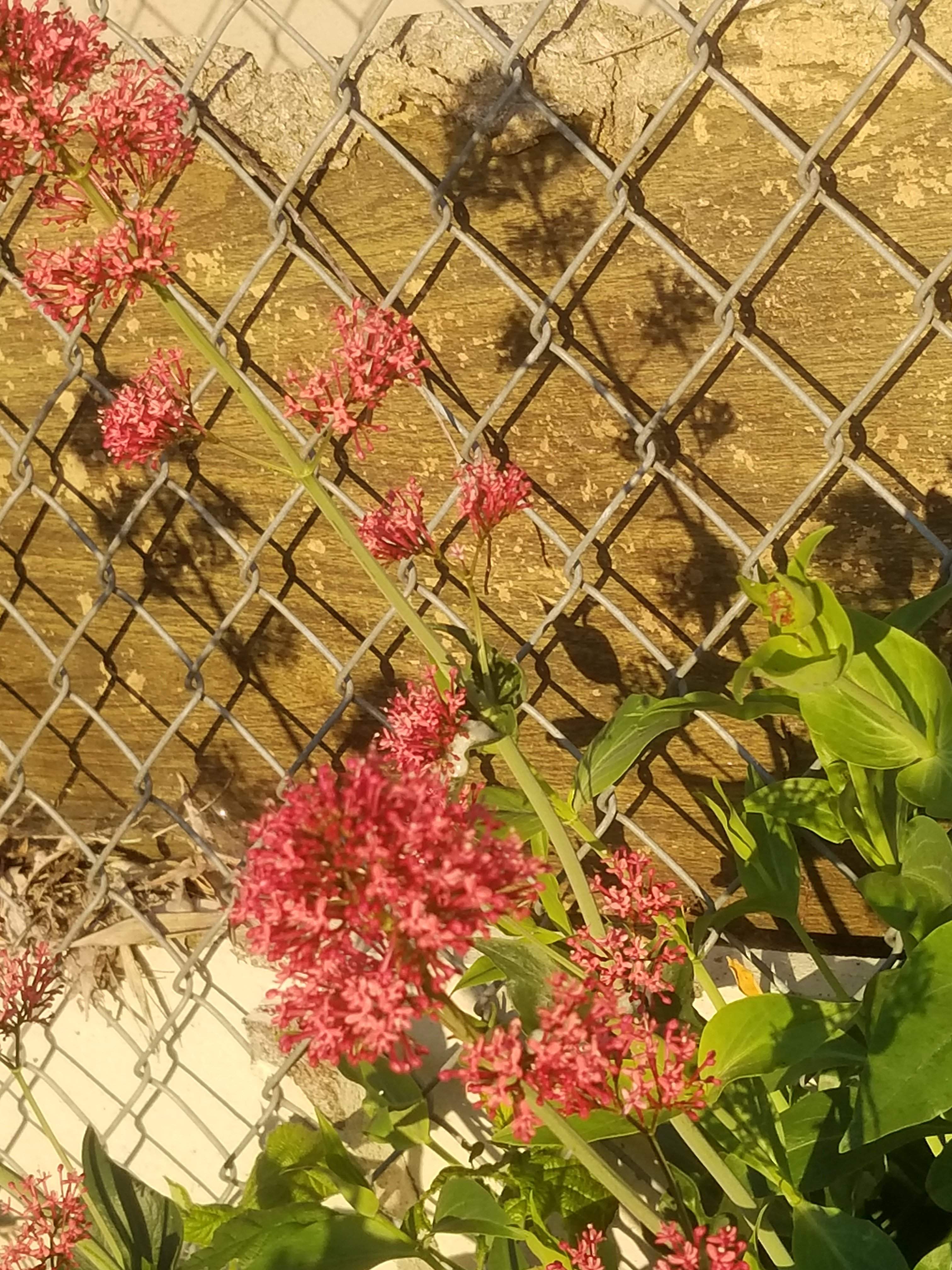20180513_062236.jpg
