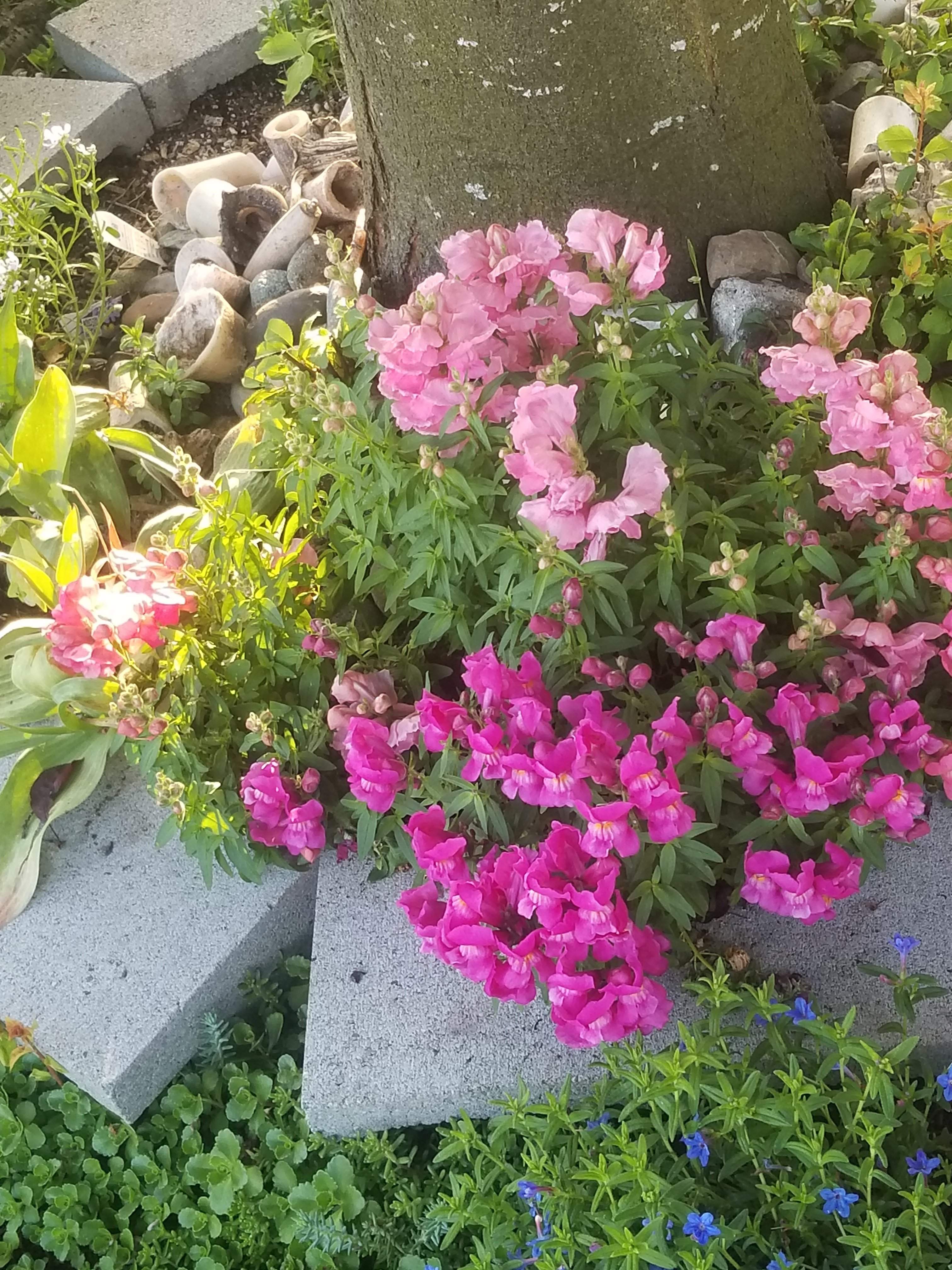 20180513_062830.jpg