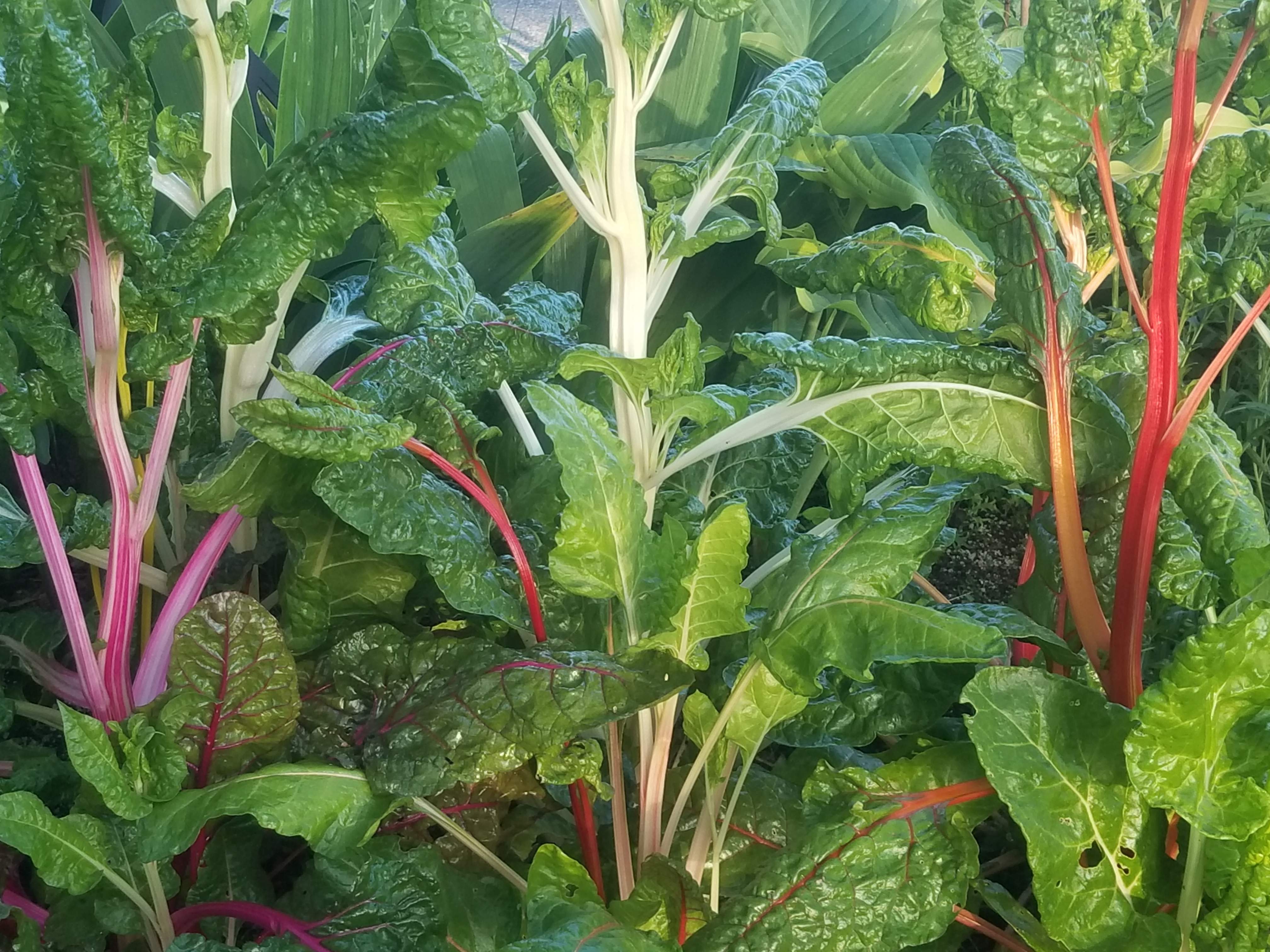 20180513_063054.jpg