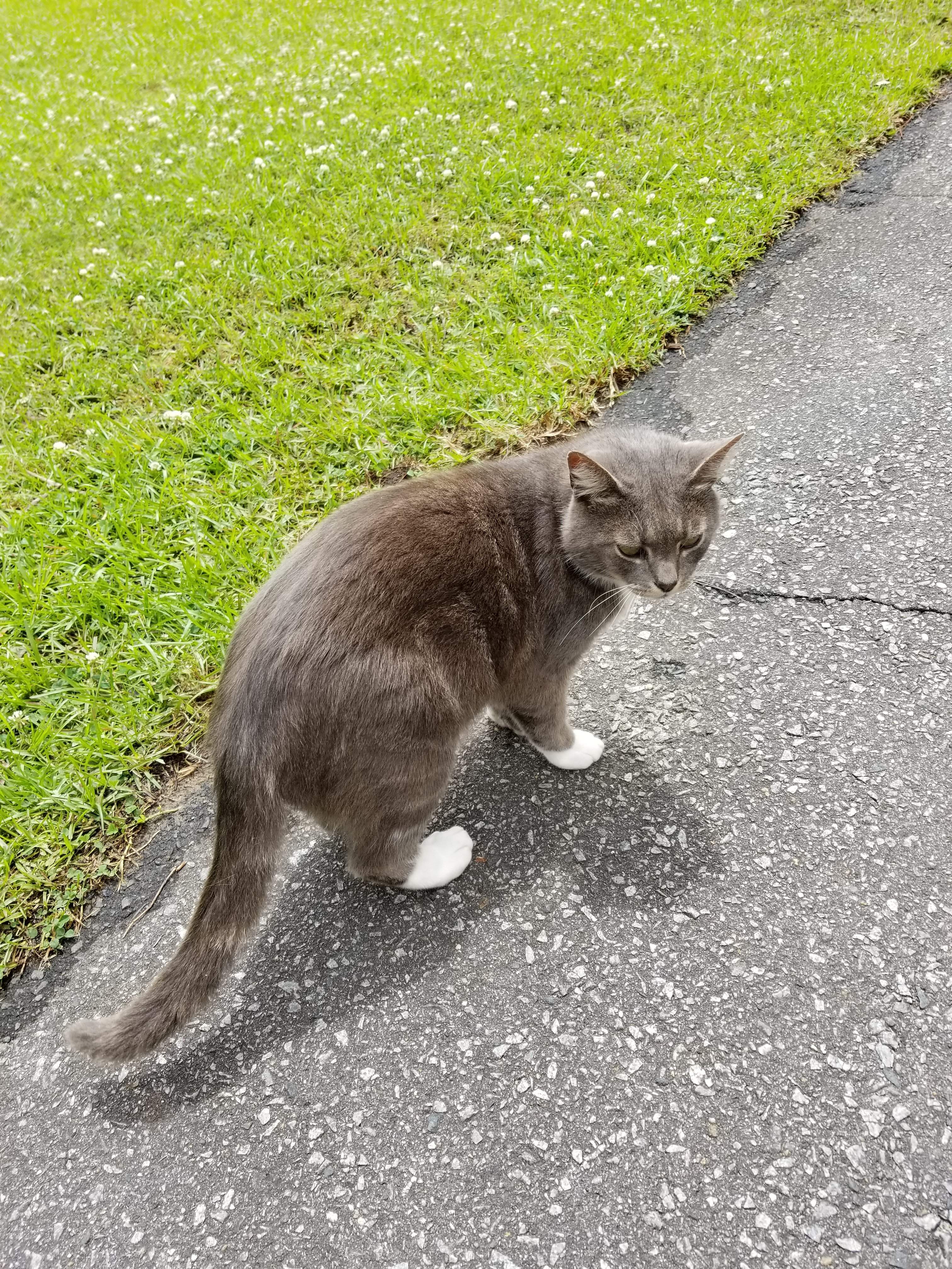 20180518_141728.jpg