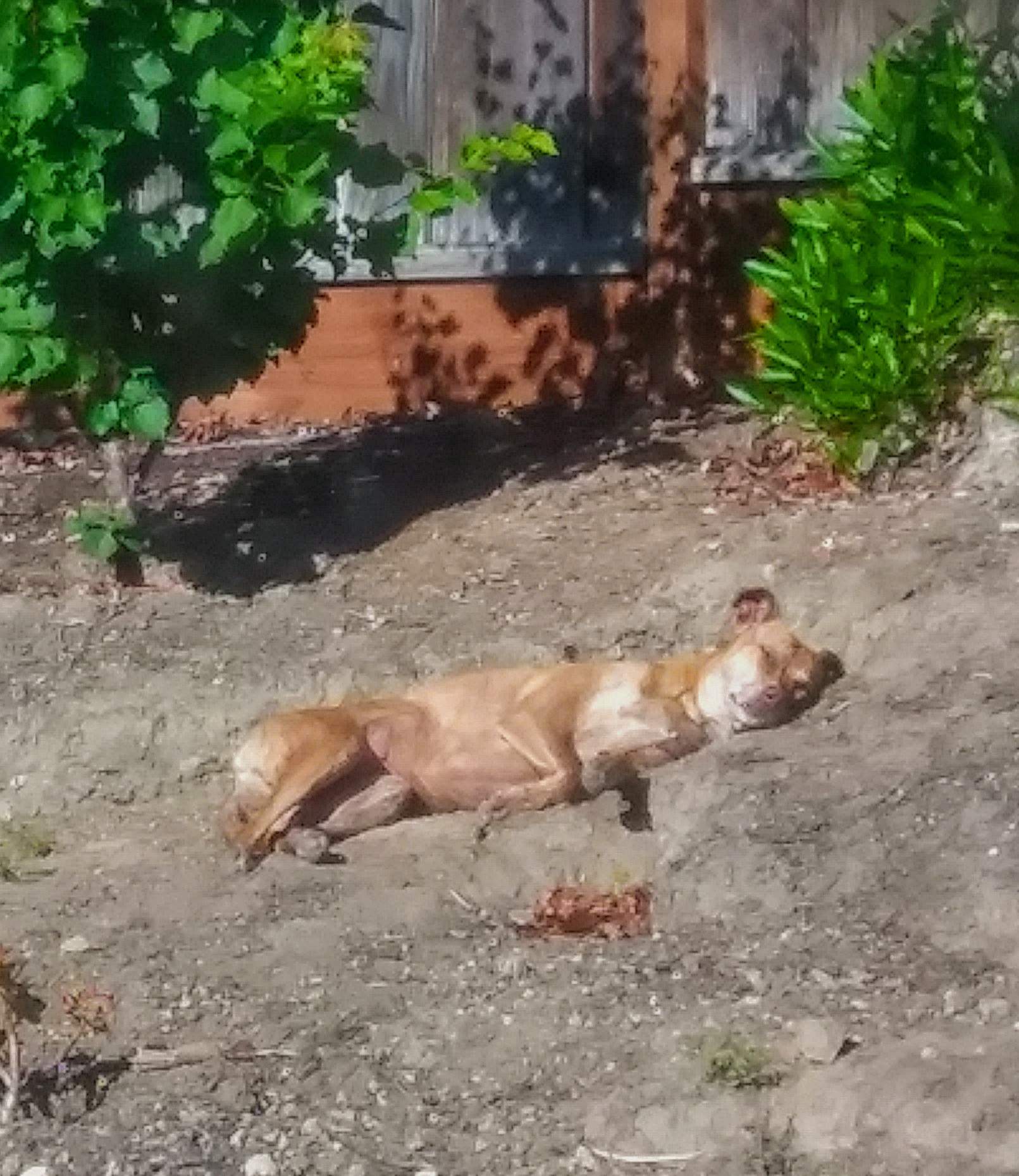20180521_083017~2.jpg
