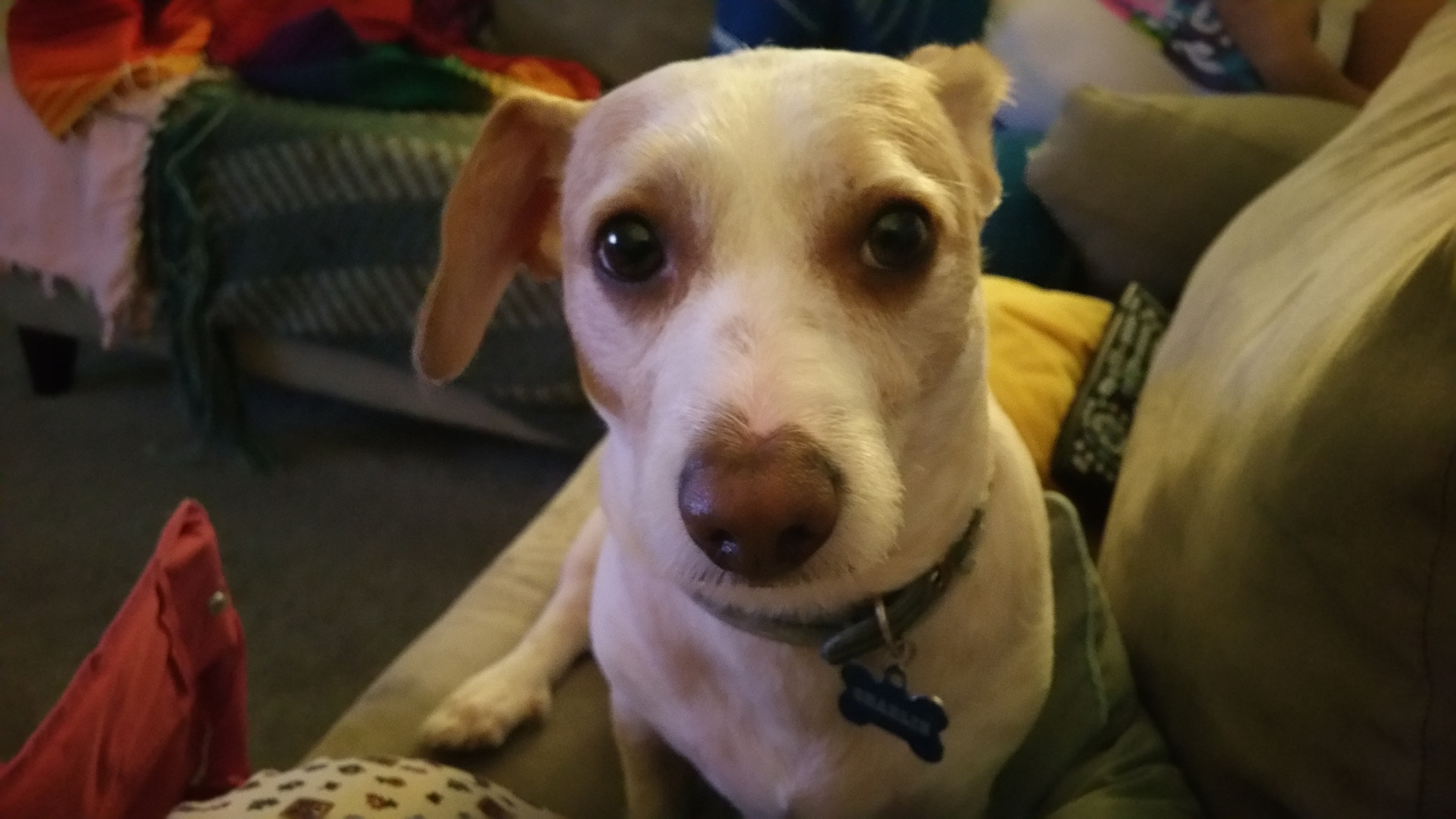 20180524_193346.jpg