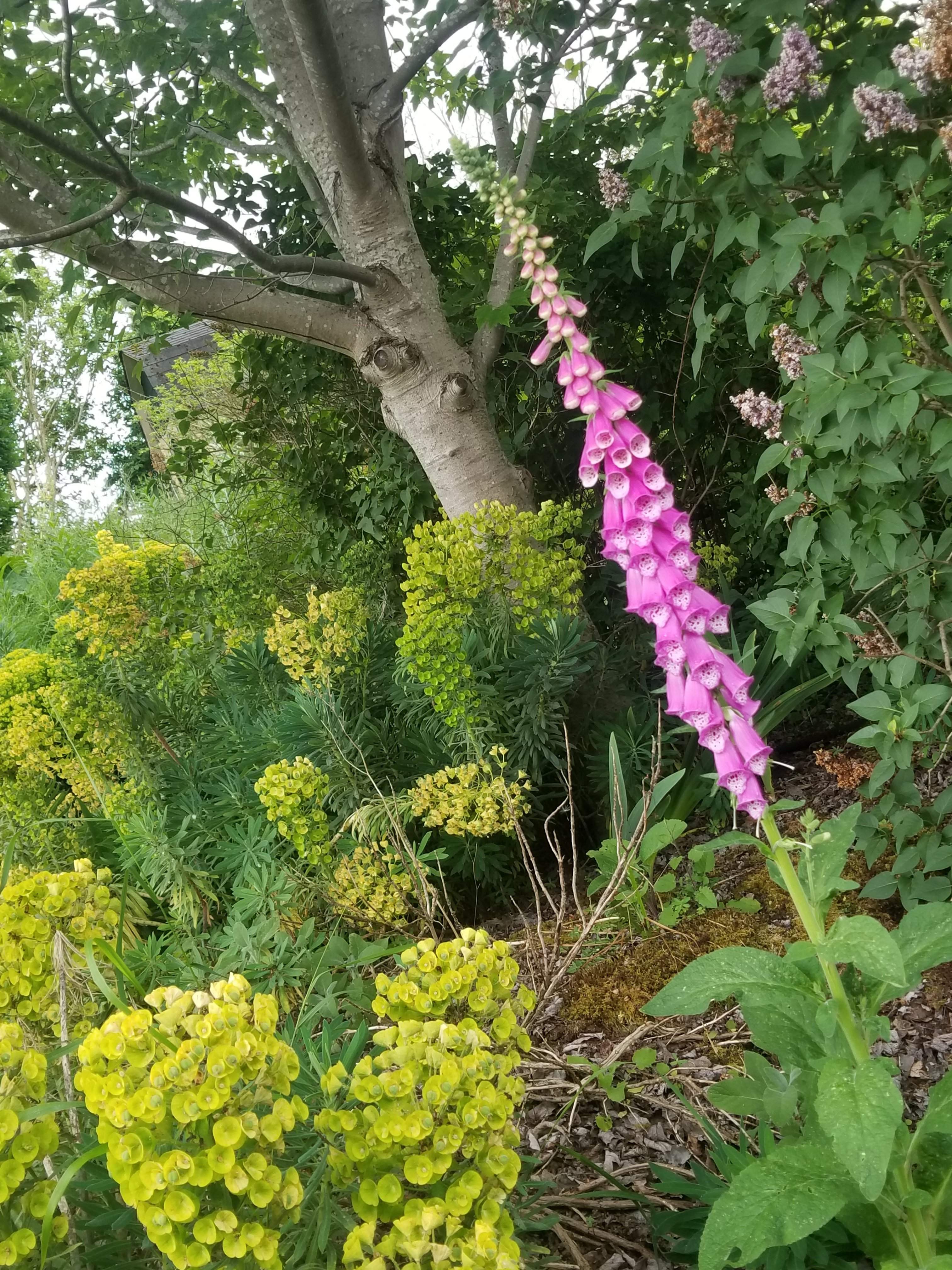 20180529_175542.jpg
