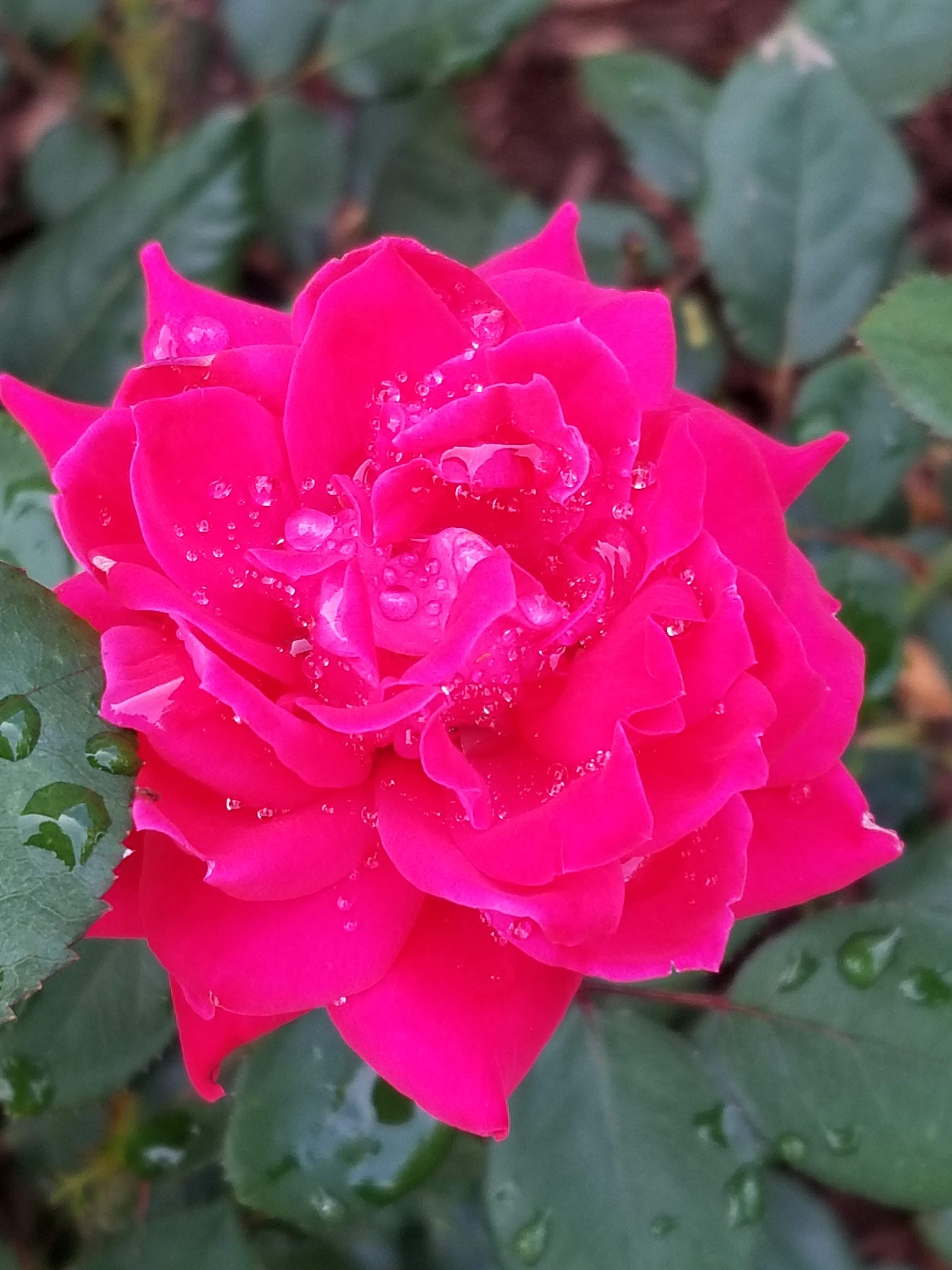 20180605_191822.jpg