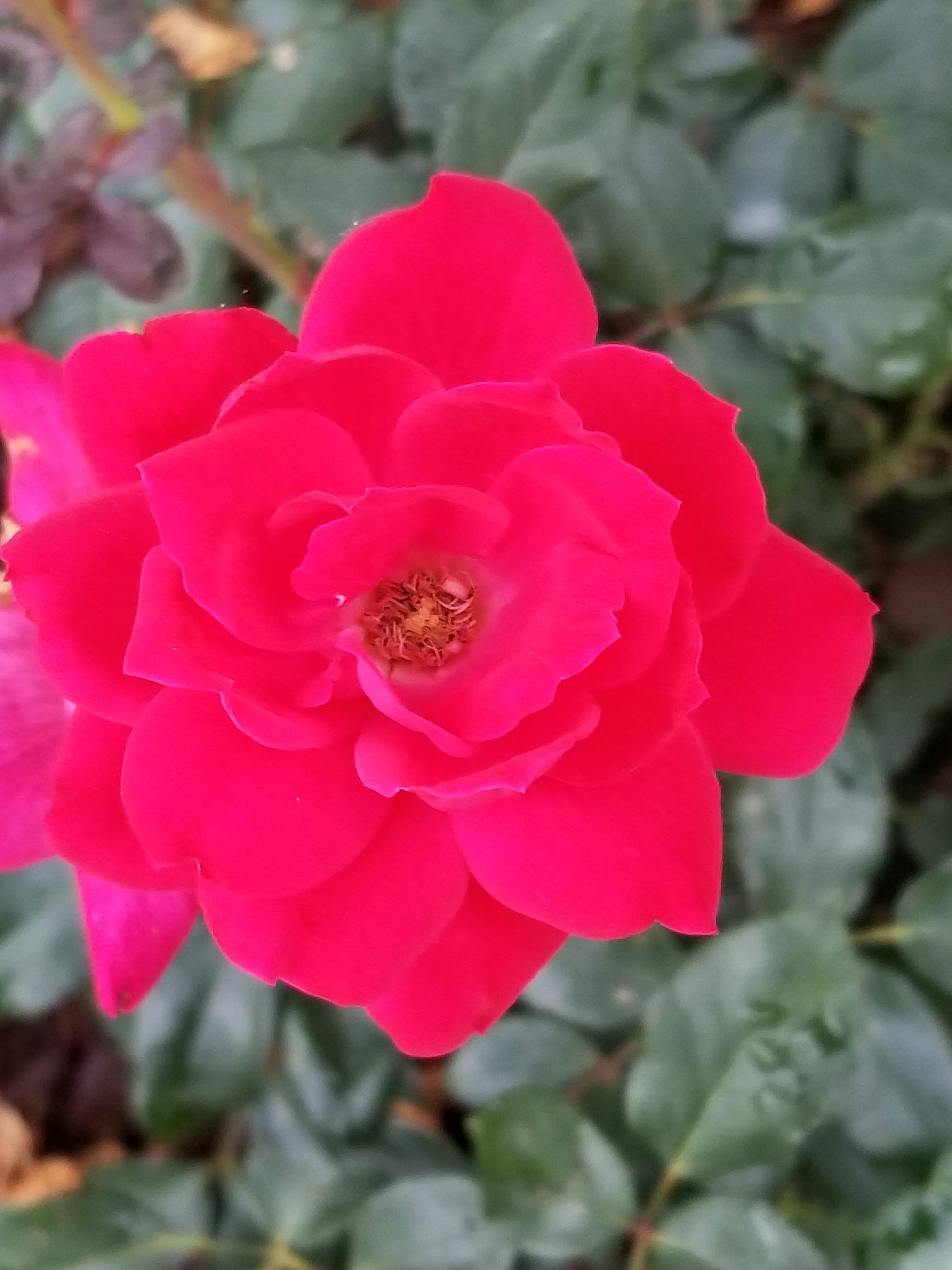 20180605_191850.jpg