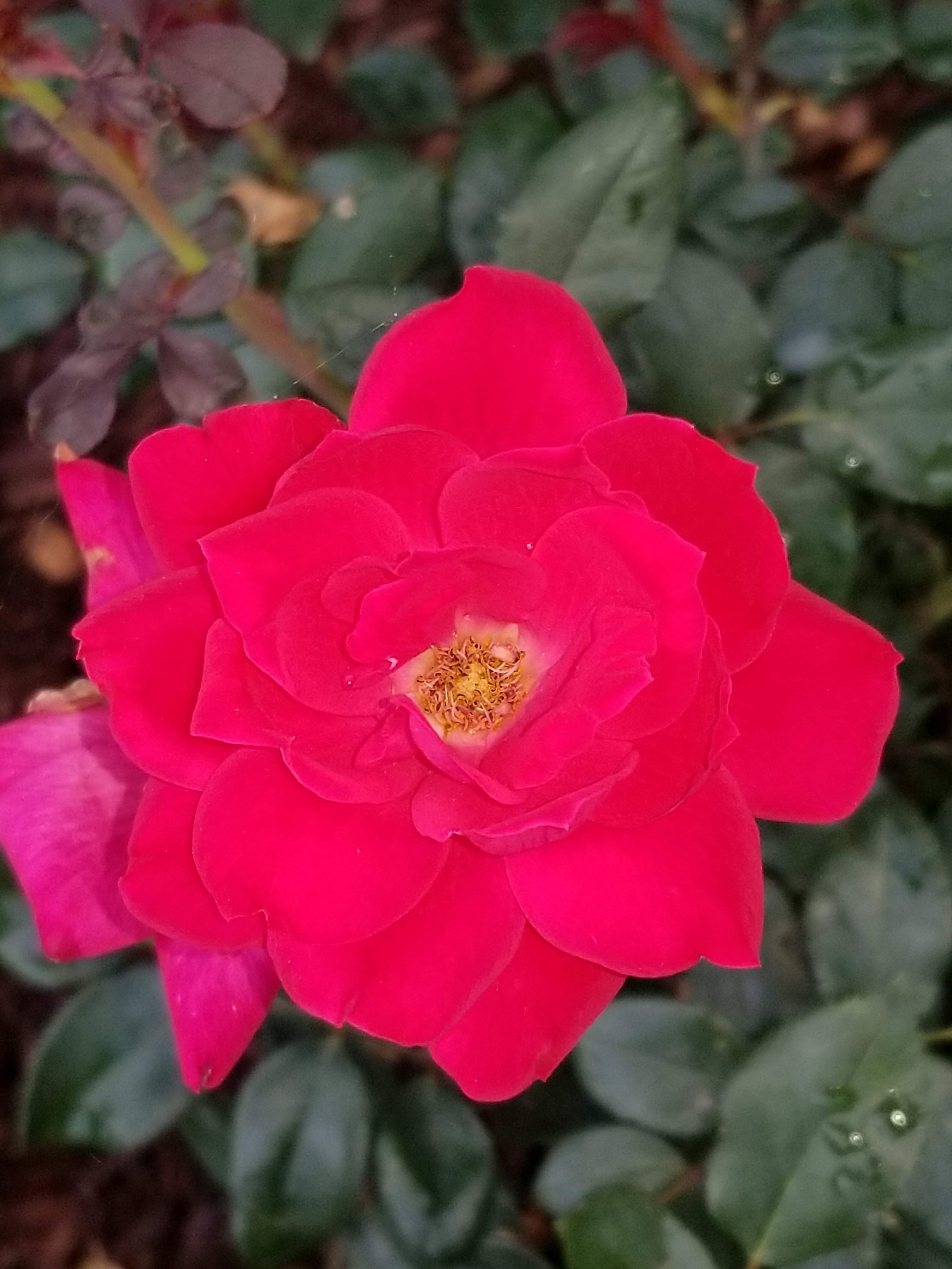 20180605_191900.jpg