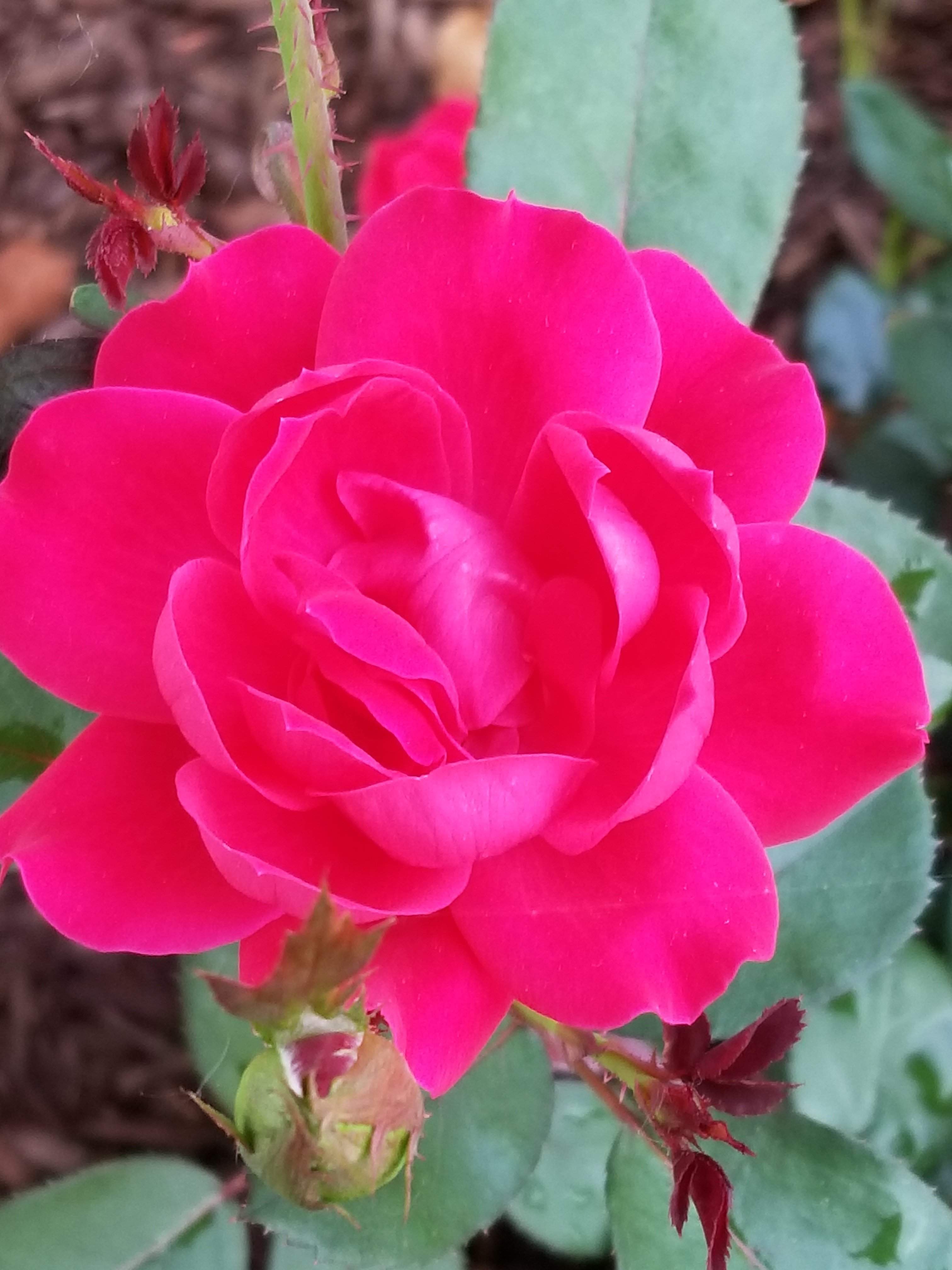 20180605_191929.jpg