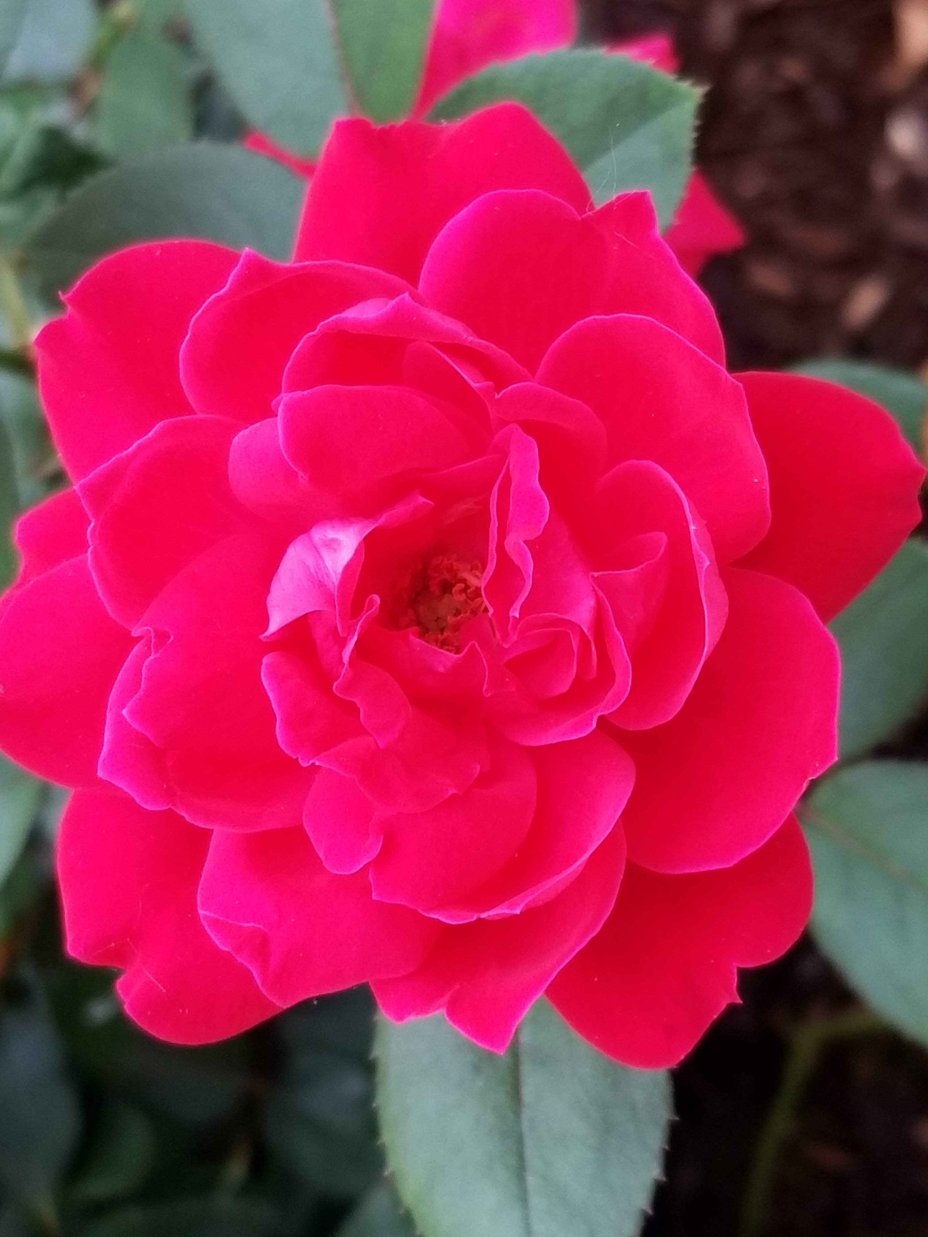 20180605_191943.jpg