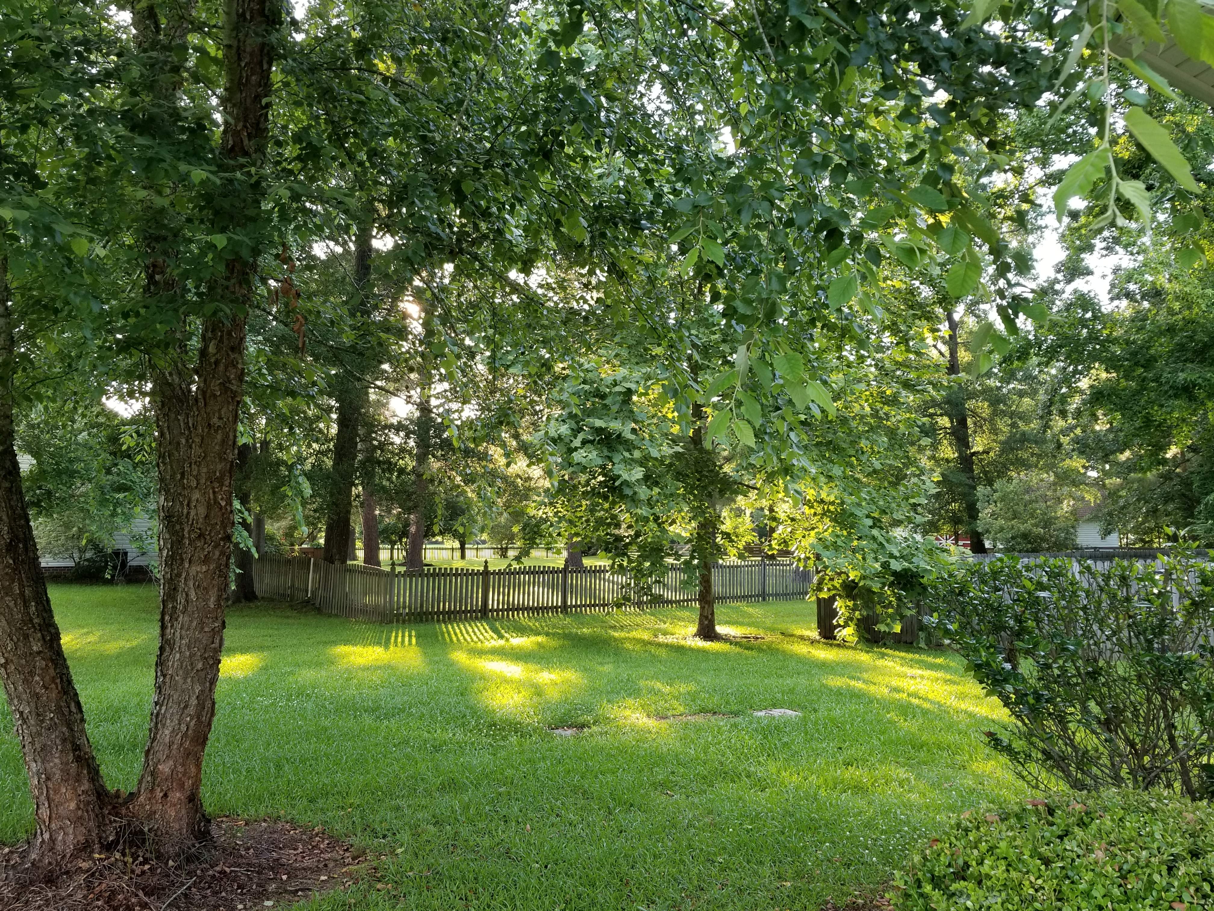 20180605_192003.jpg