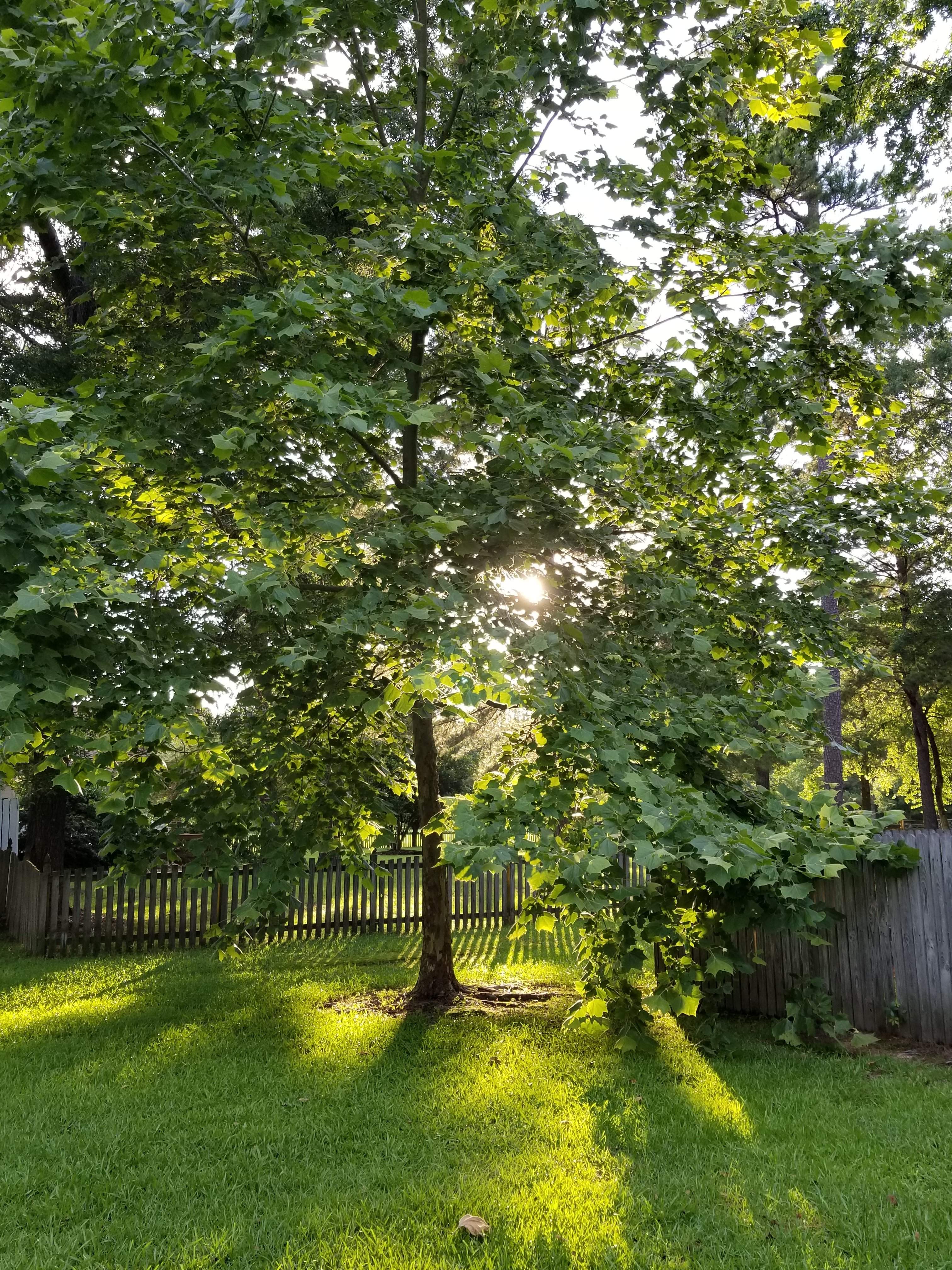 20180605_192037.jpg