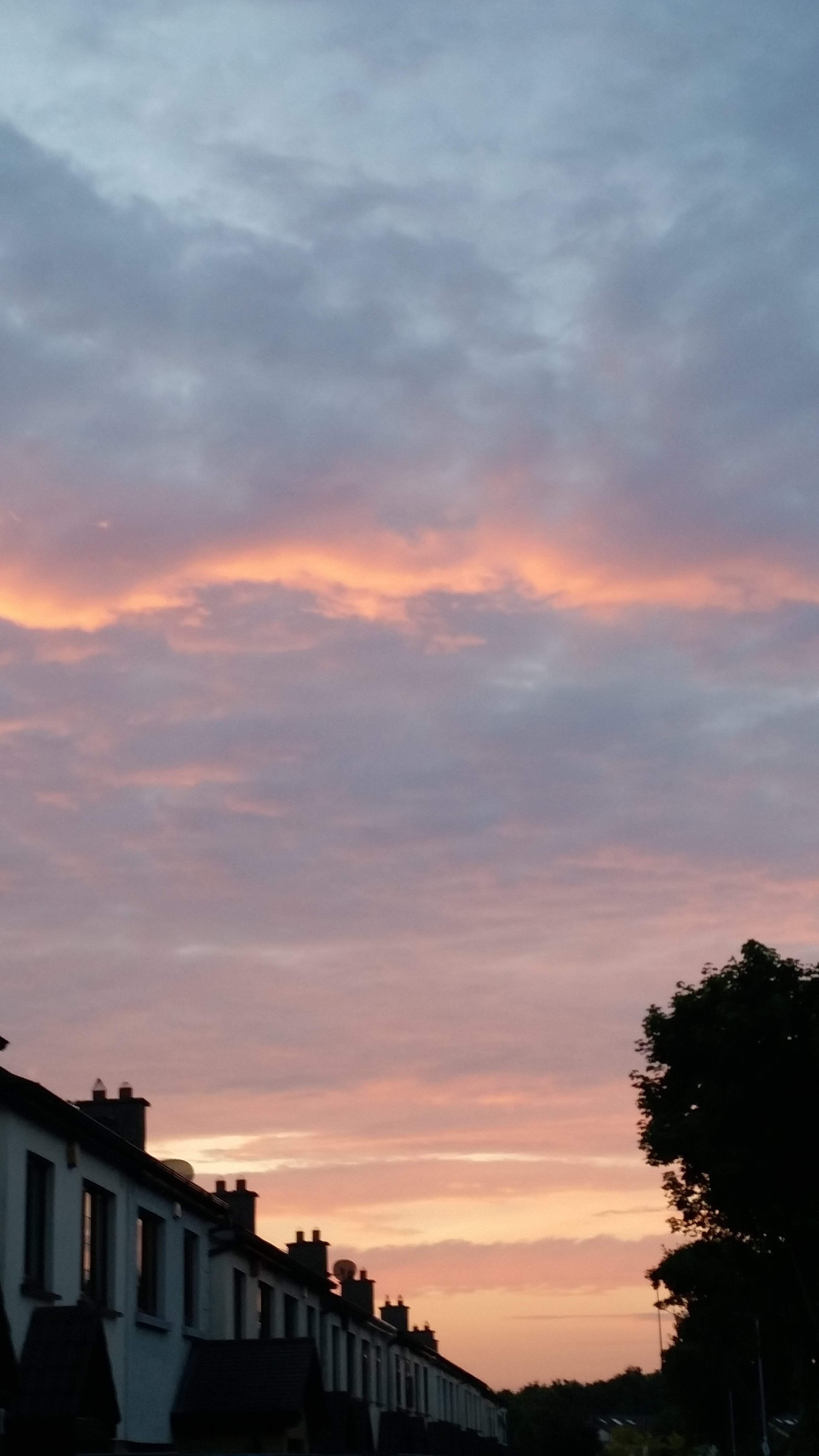 20180608_215649.jpg
