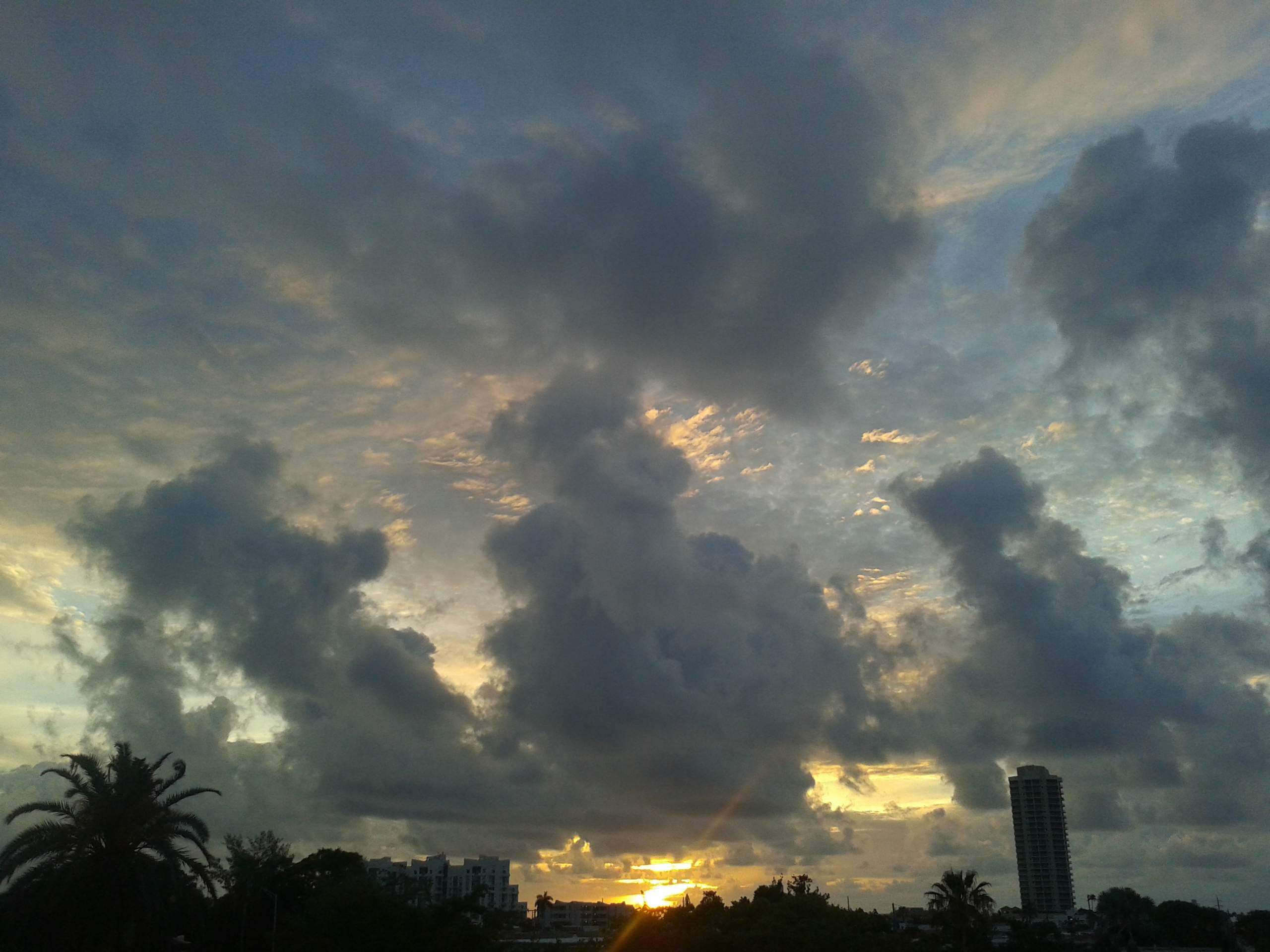 20180611_063509__a.jpg