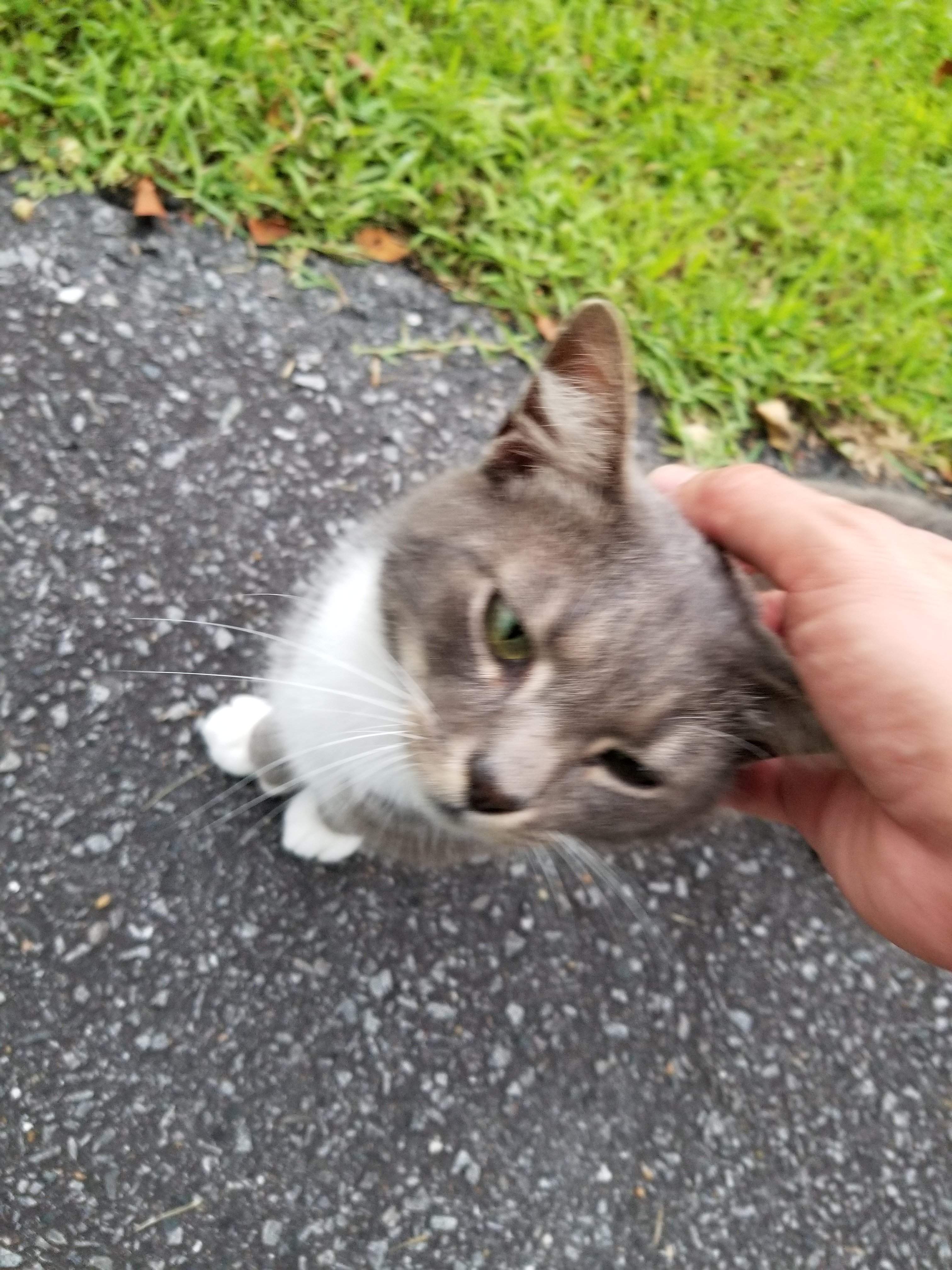 20180612_200038.jpg