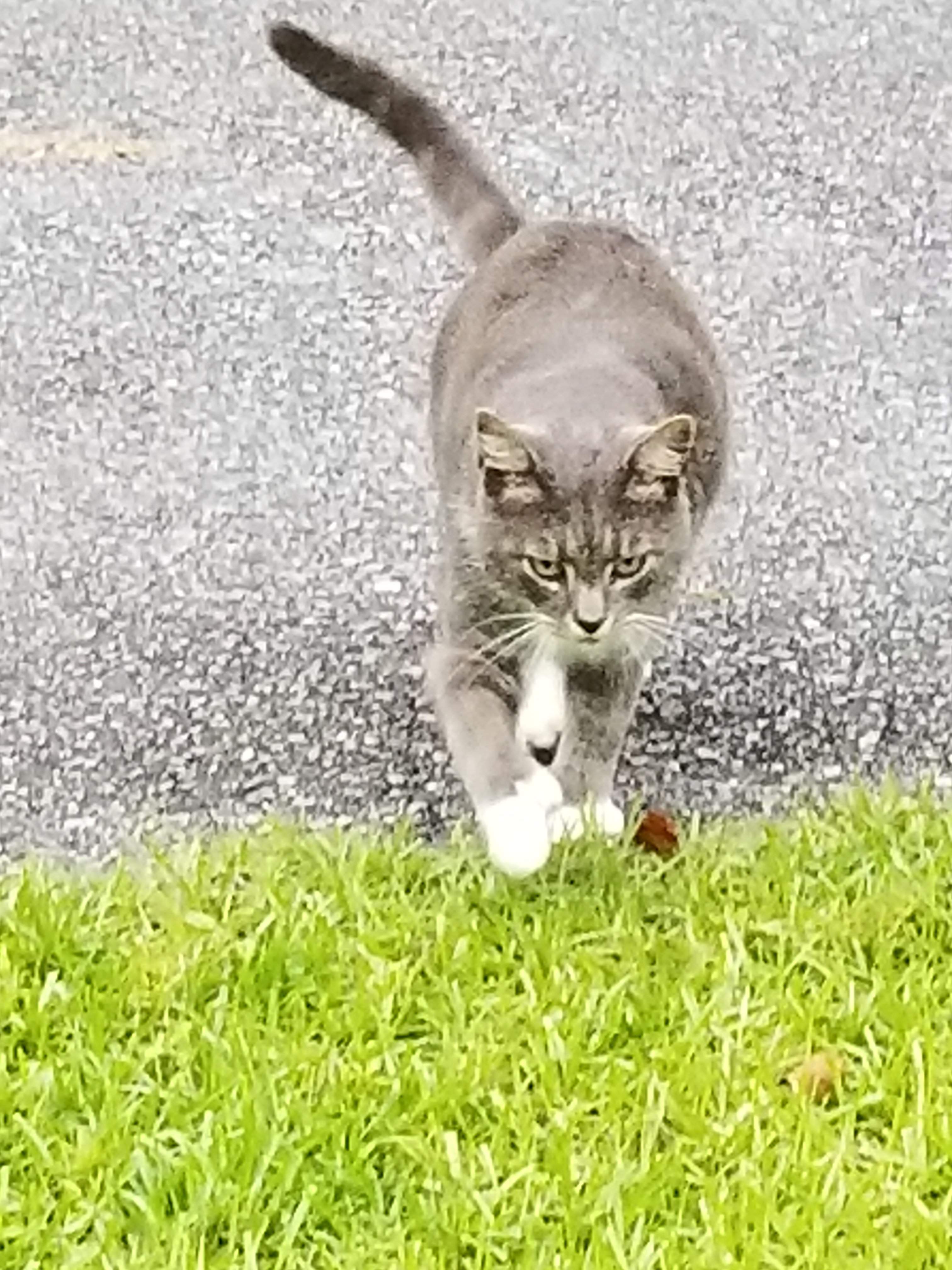 20180612_200236.jpg