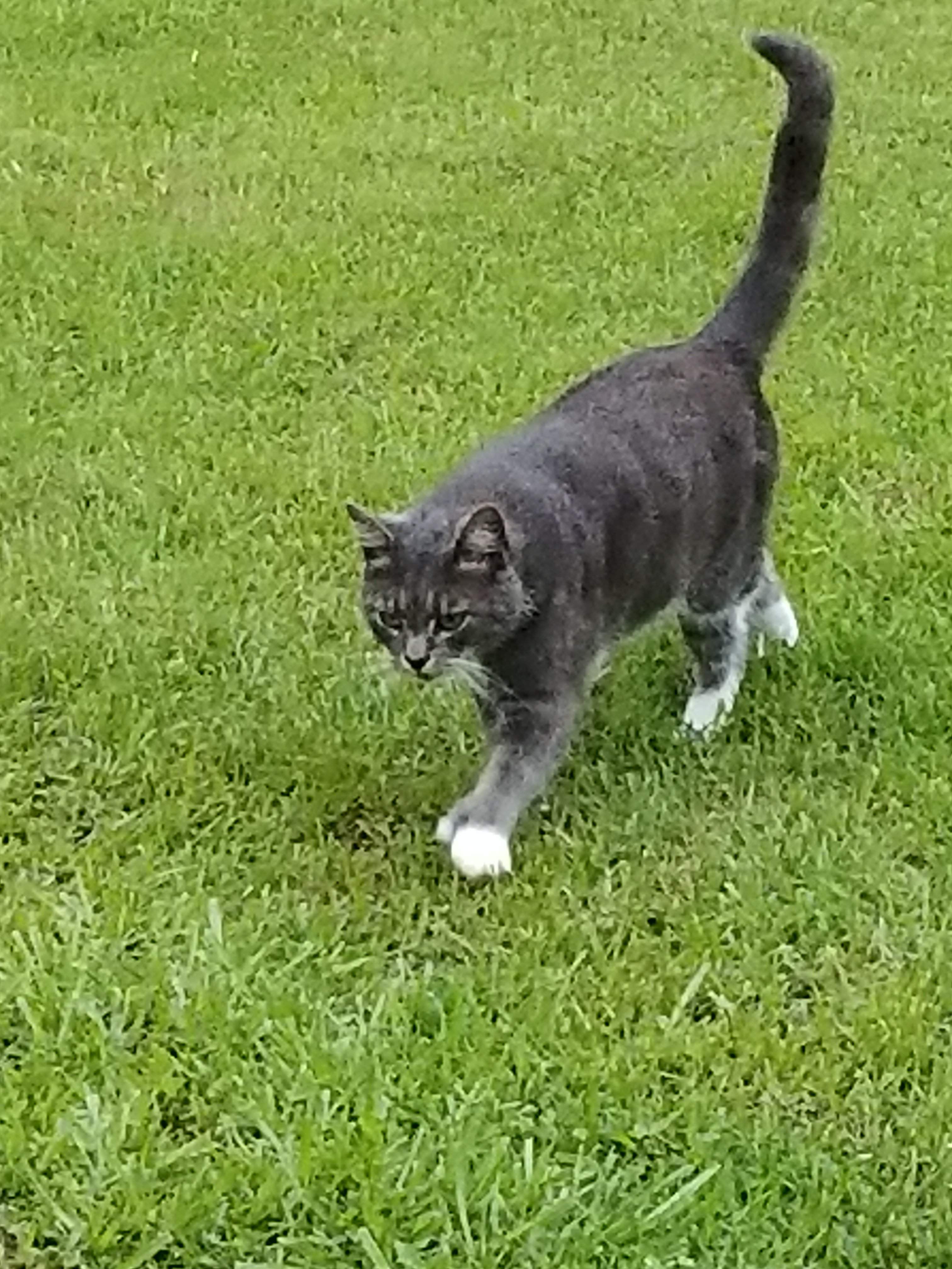 20180612_200251.jpg