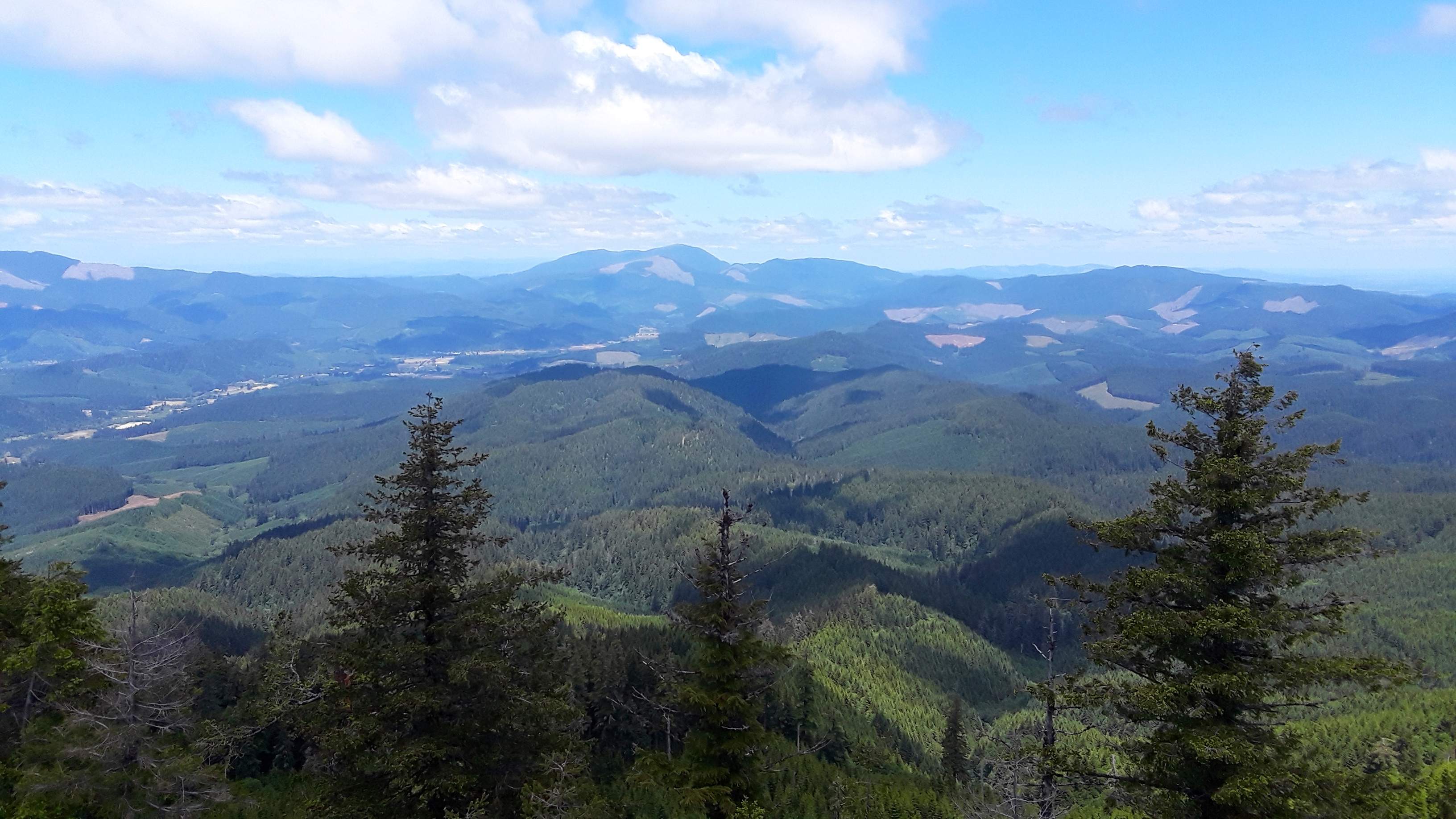 20180616_131434.jpg