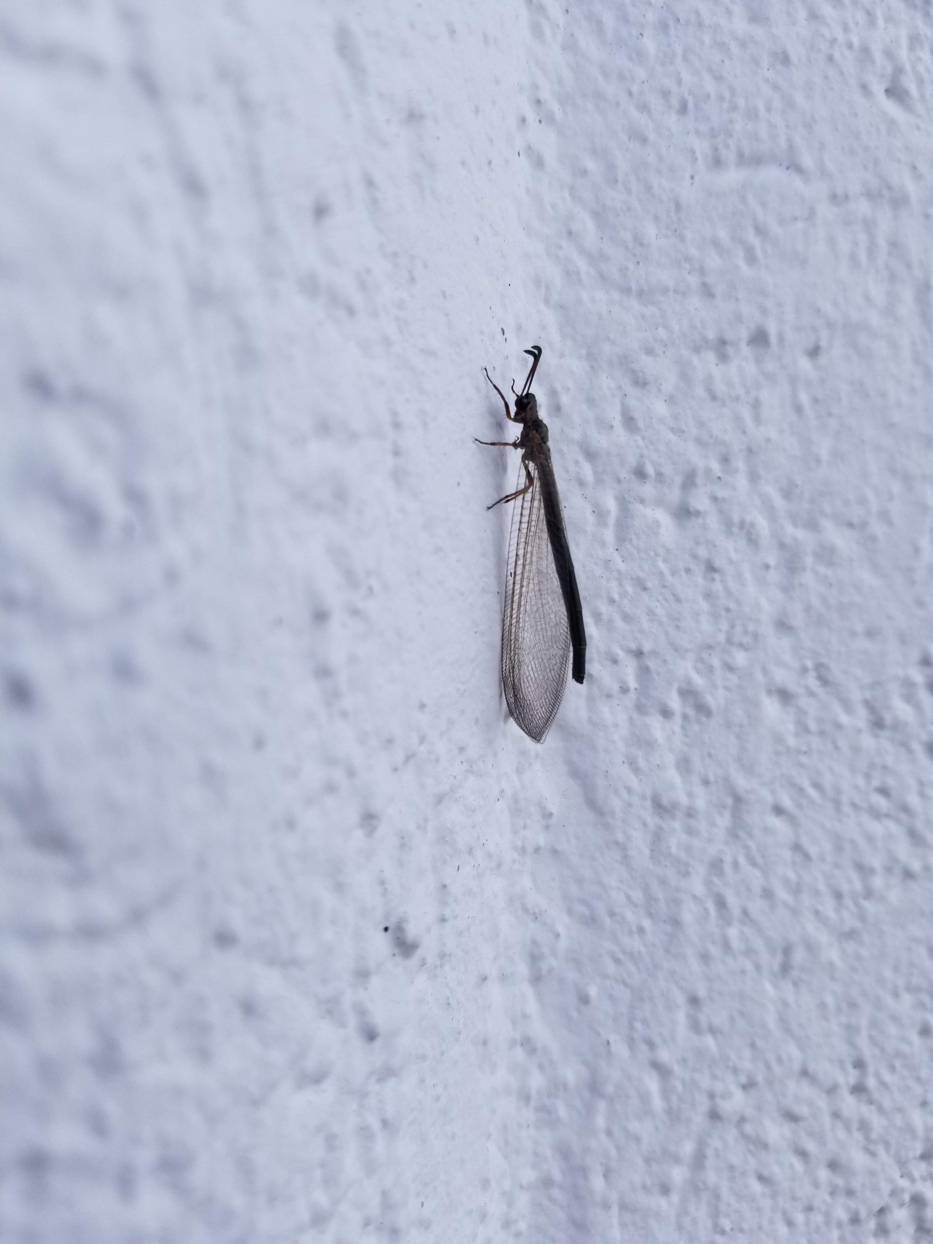 20180620_142806.jpg