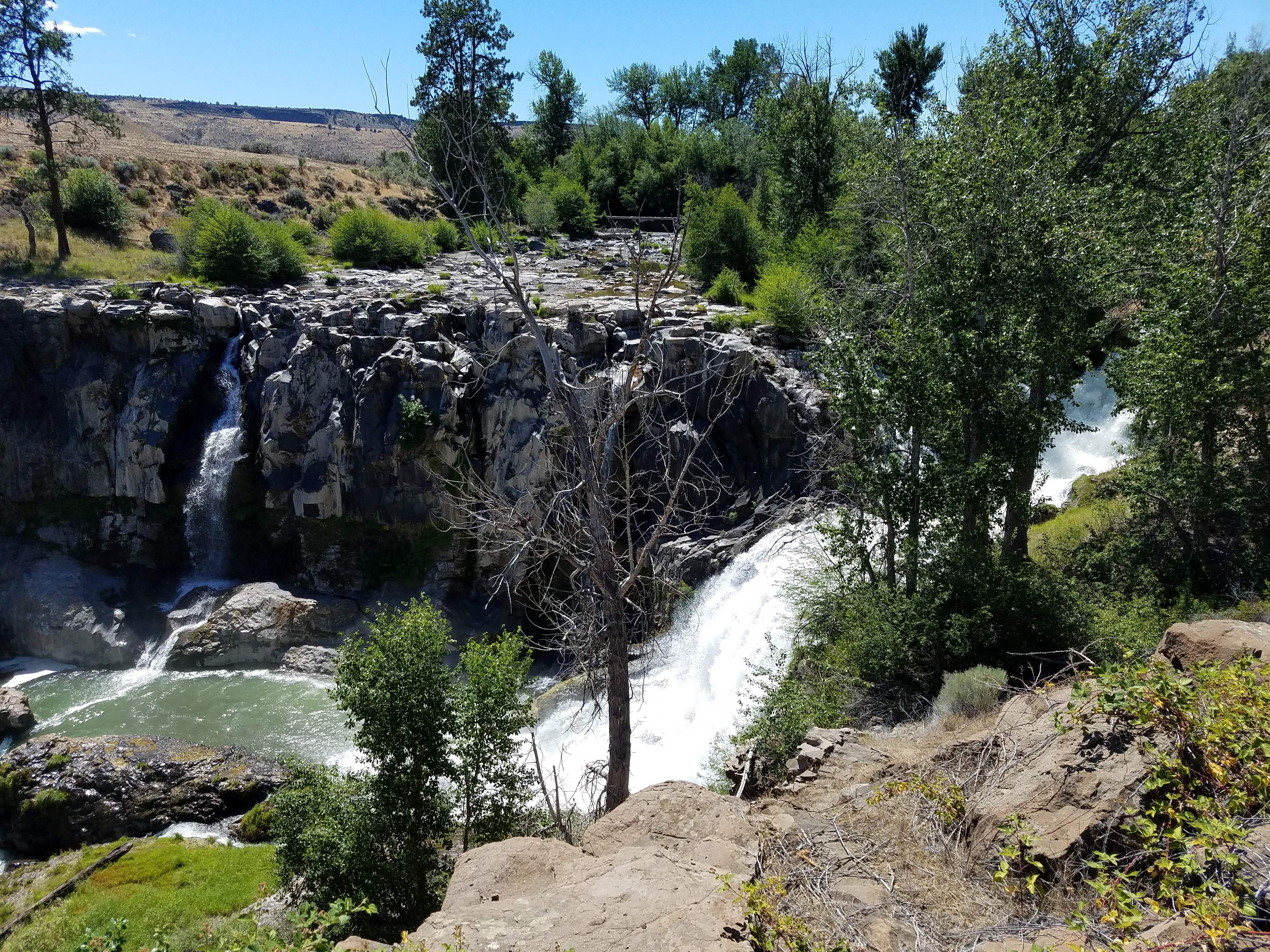 20180623_145051.jpg