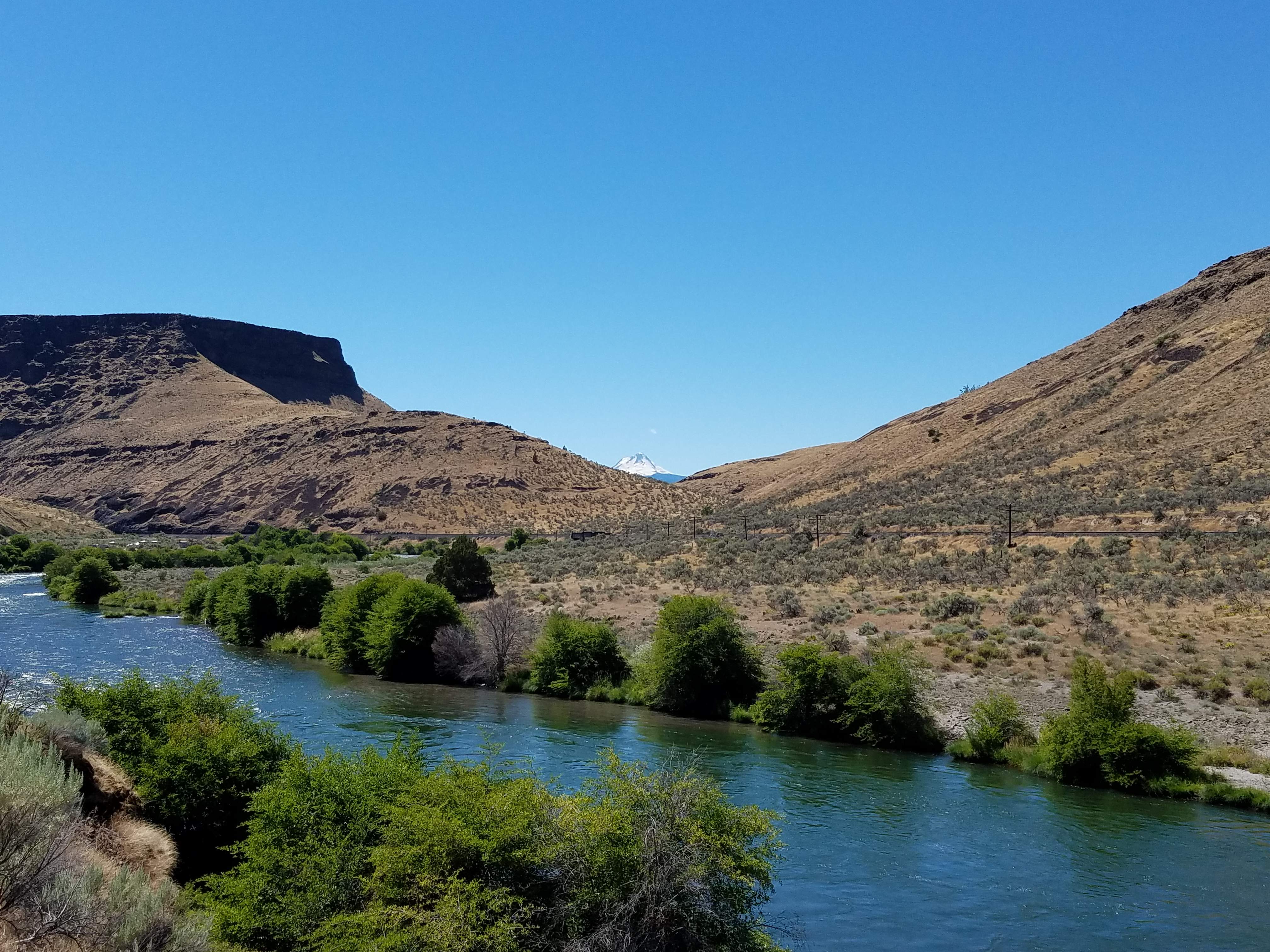 20180623_151255.jpg