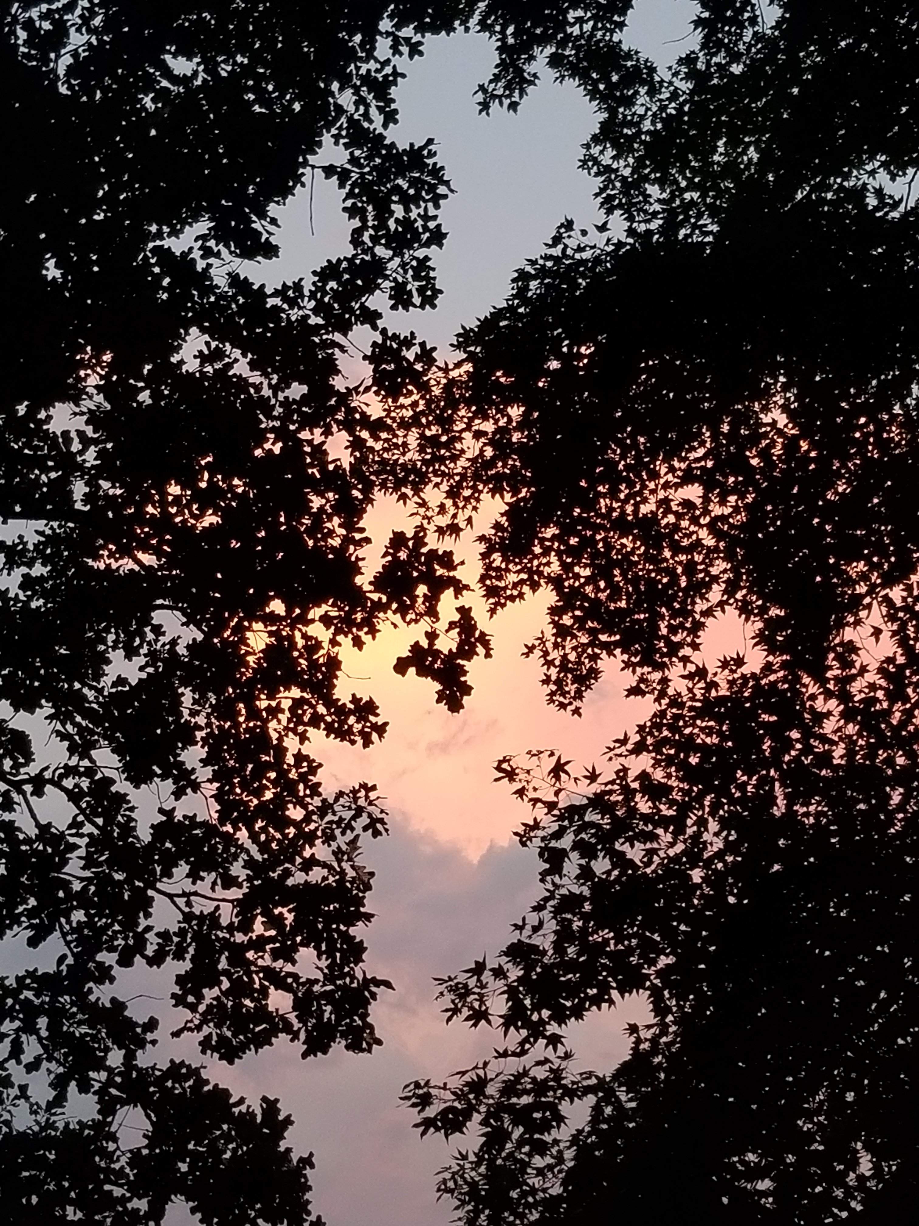 20180623_204038.jpg
