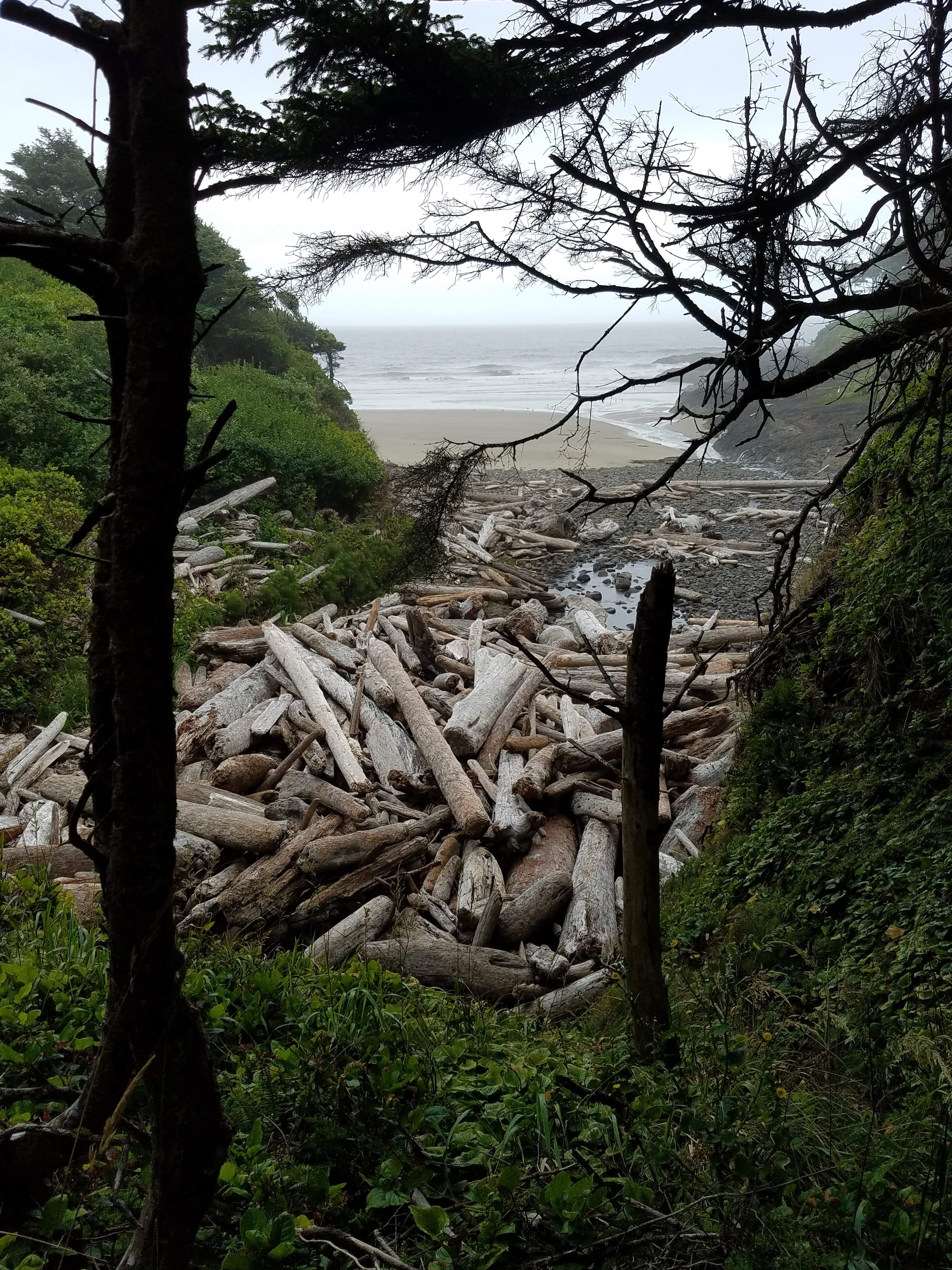 20180704_141926.jpg