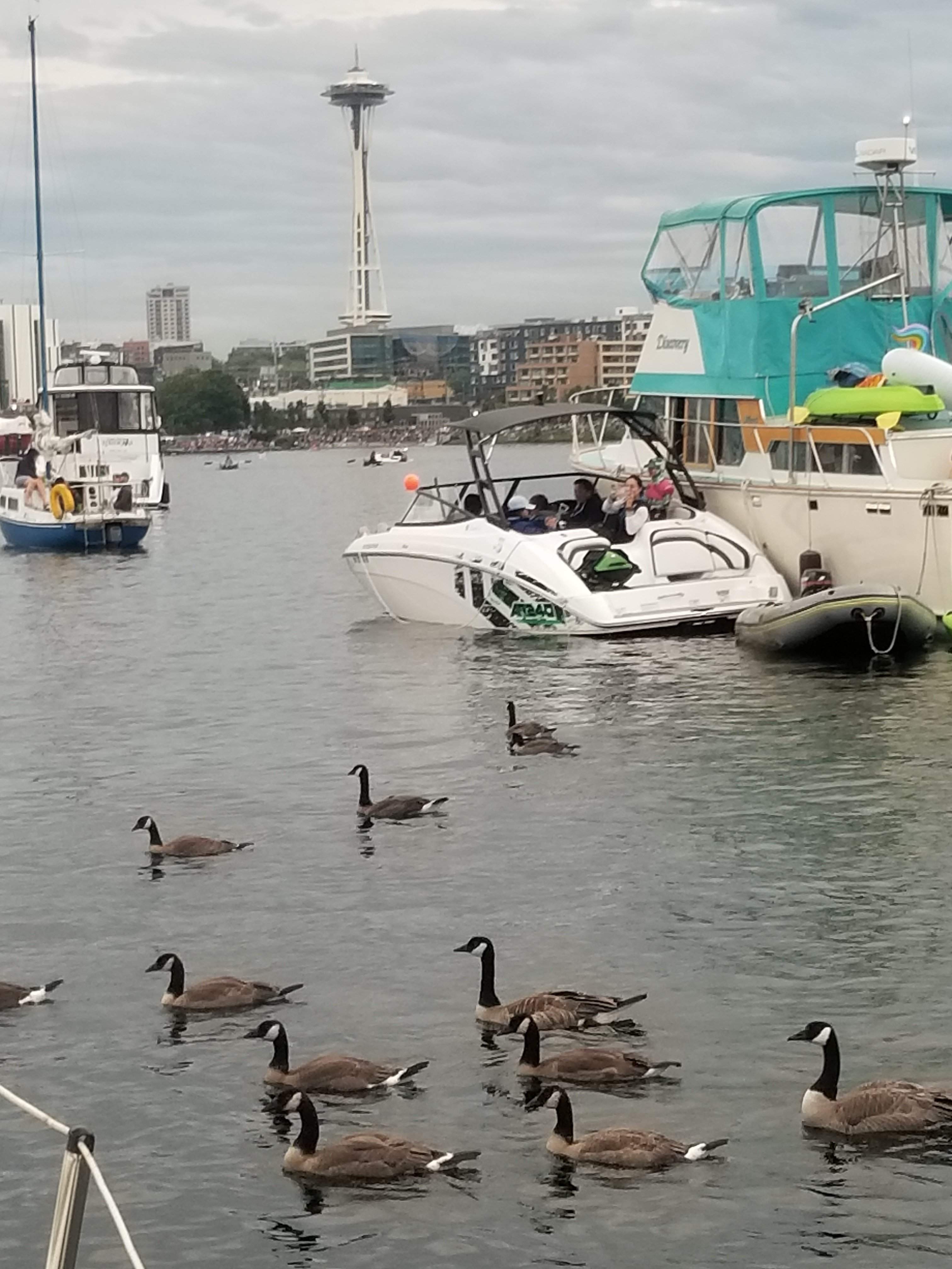 20180704_203943.jpg