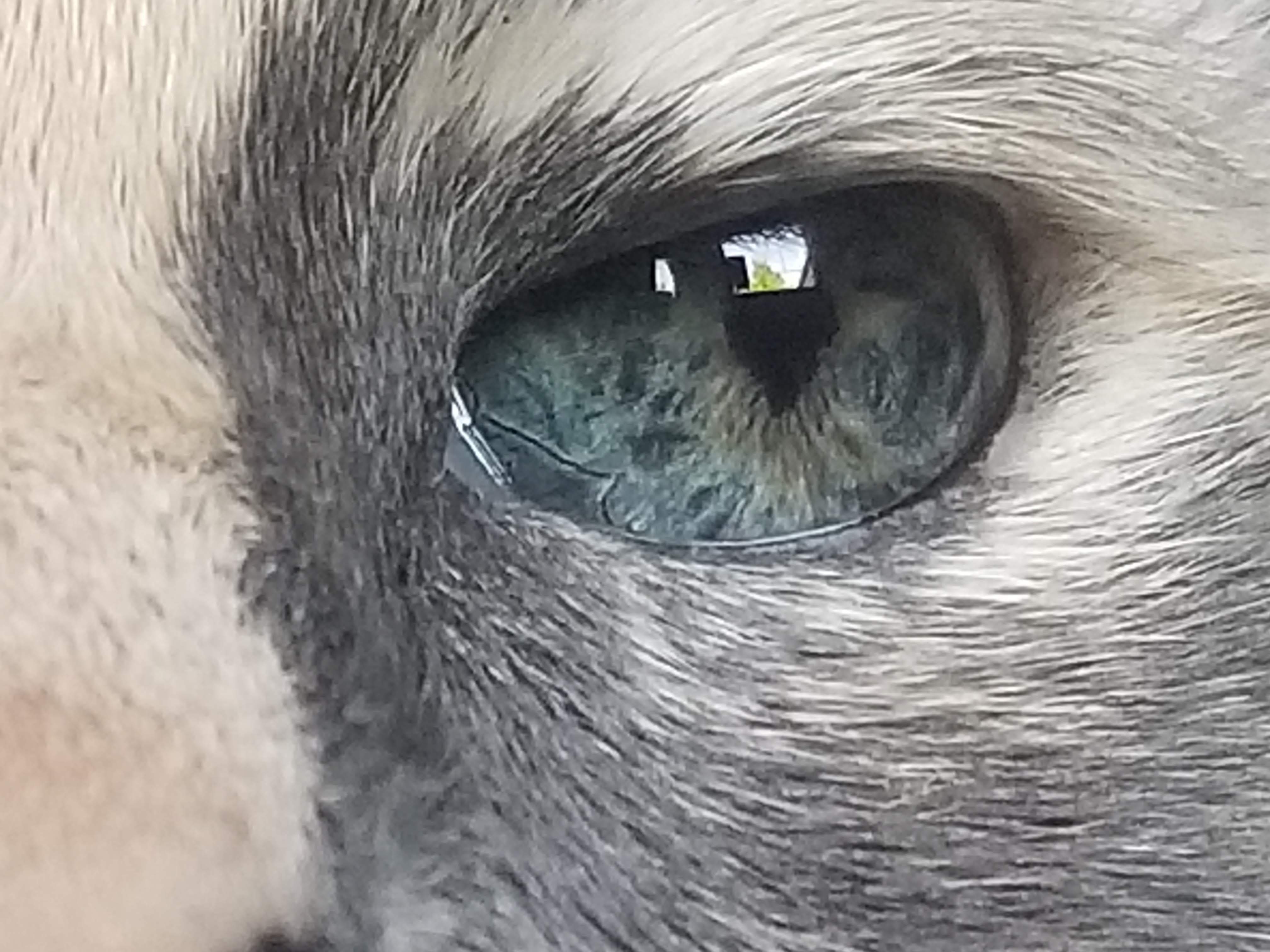 20180705_123802.jpg