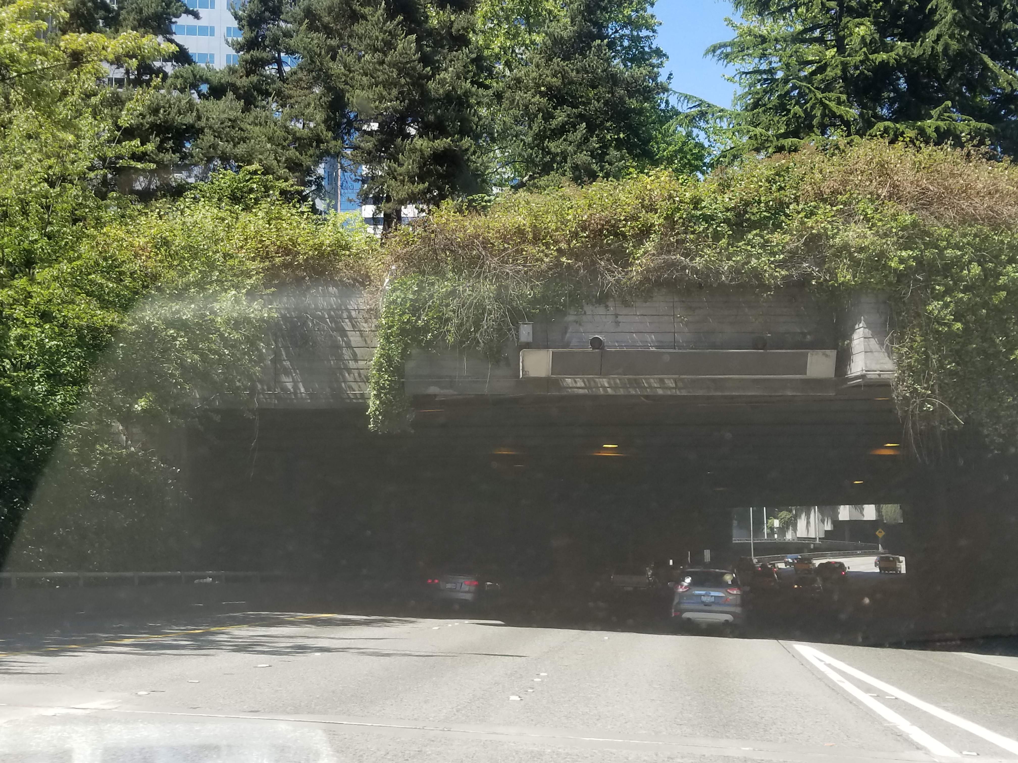 20180705_141834.jpg