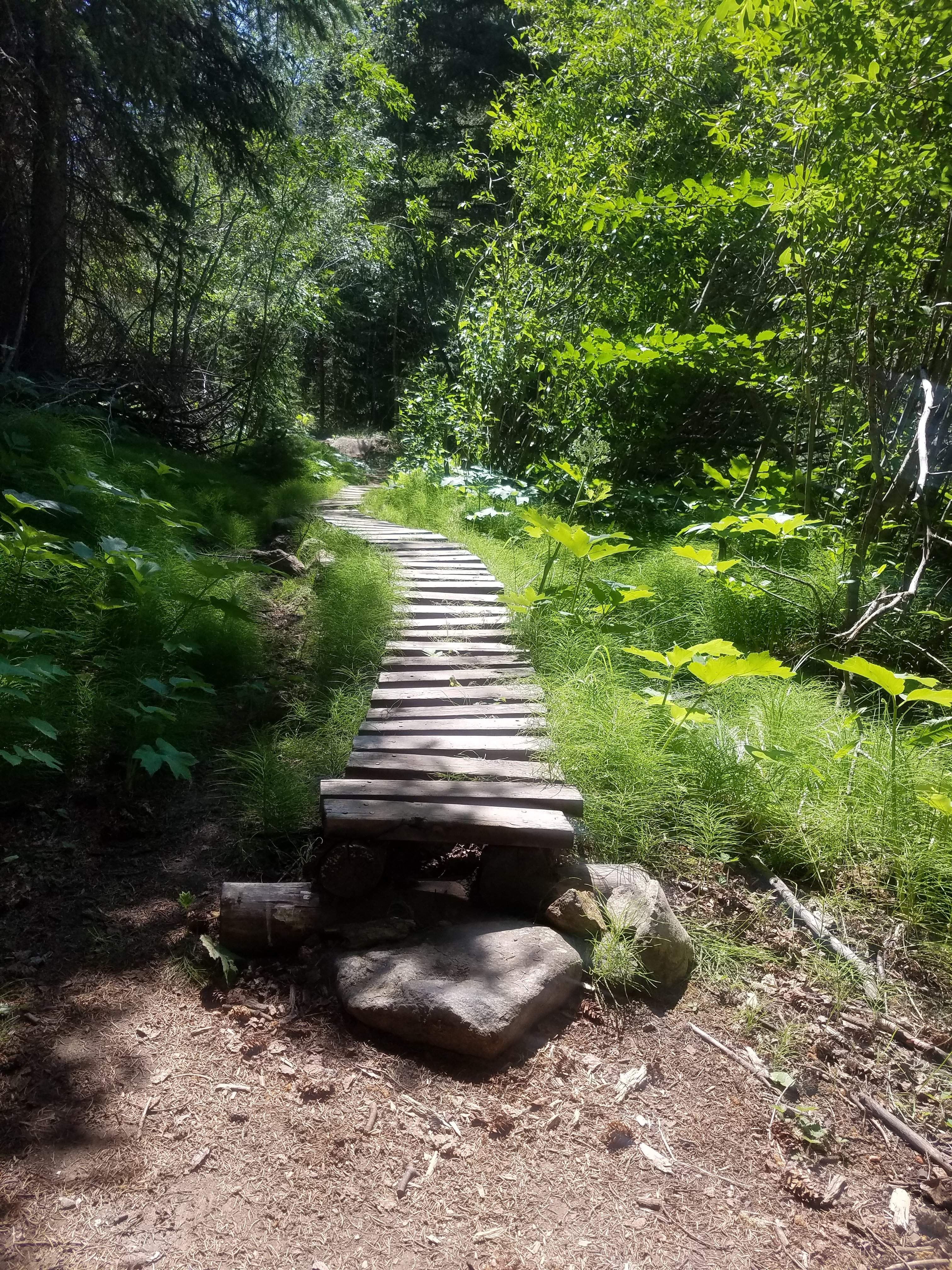 20180709_144447.jpg