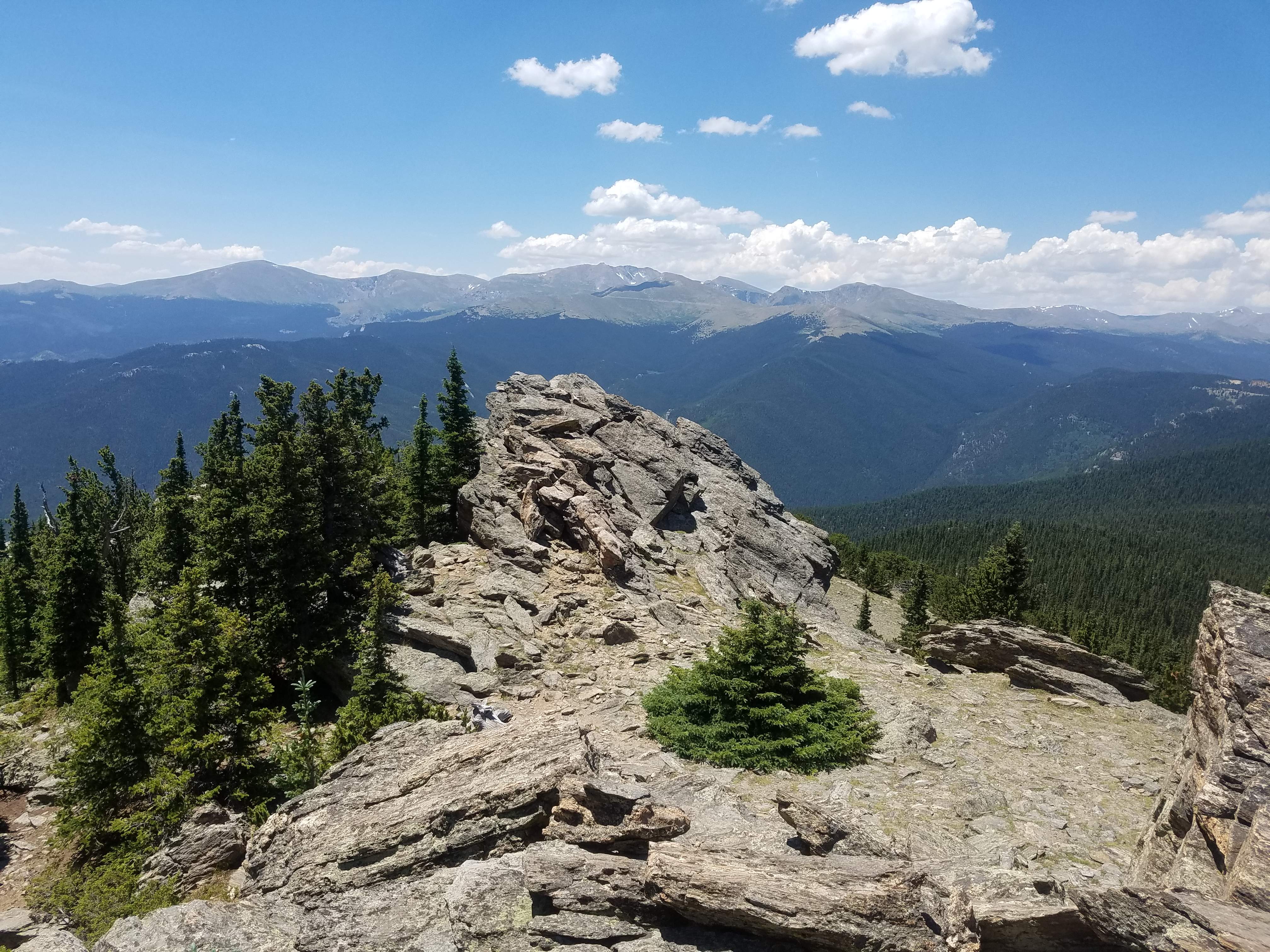 20180711_124137.jpg