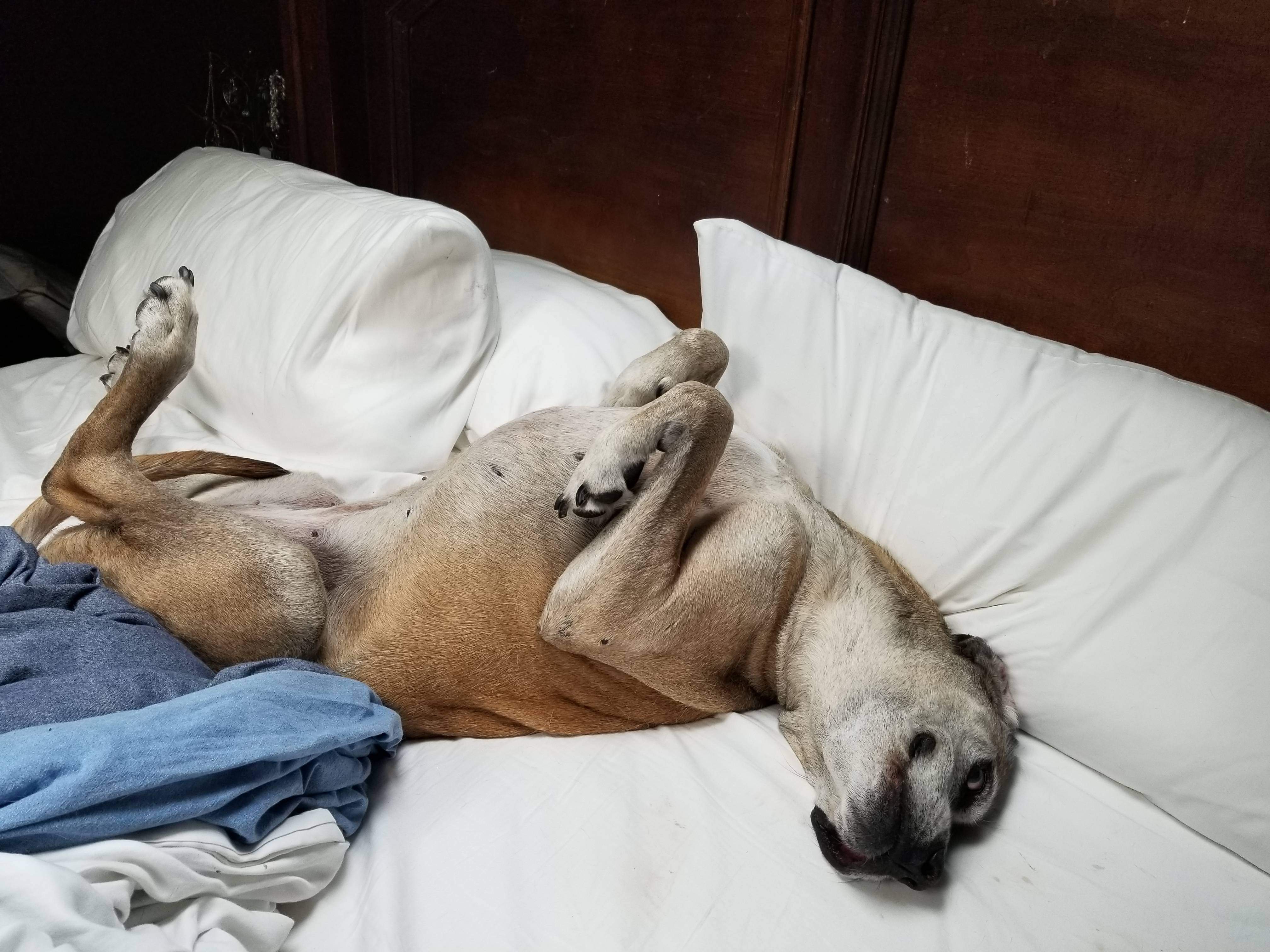 20180712_072409.jpg