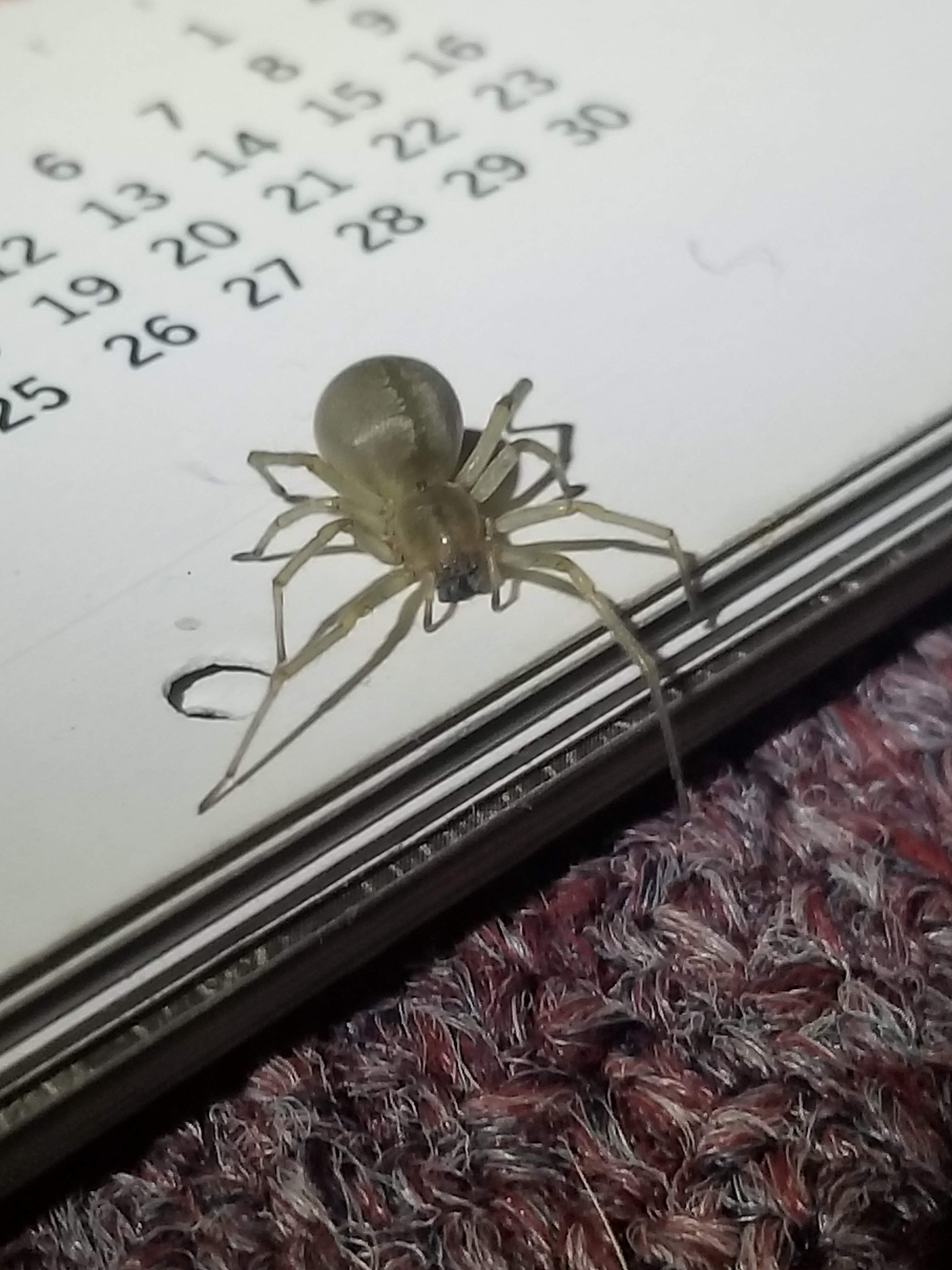 20180714_035012.jpg