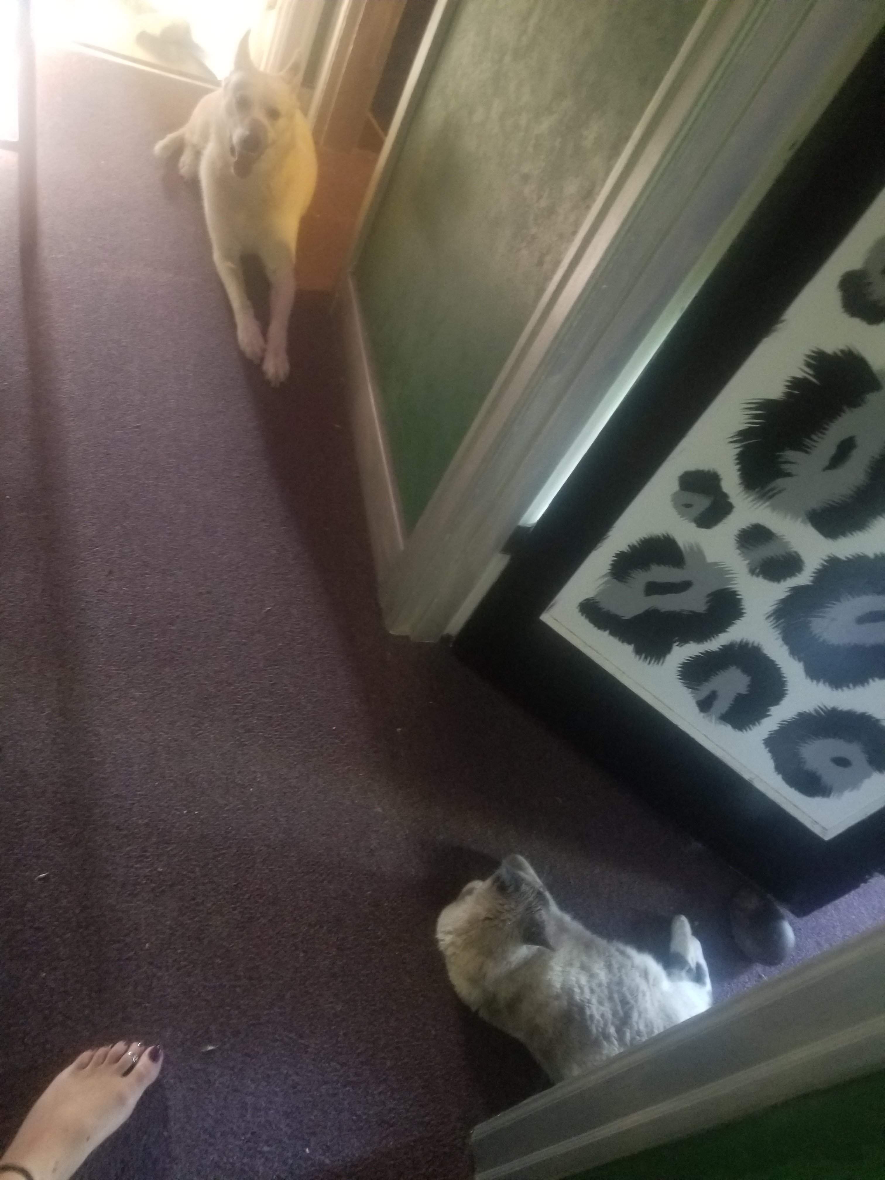 20180715_184119.jpg