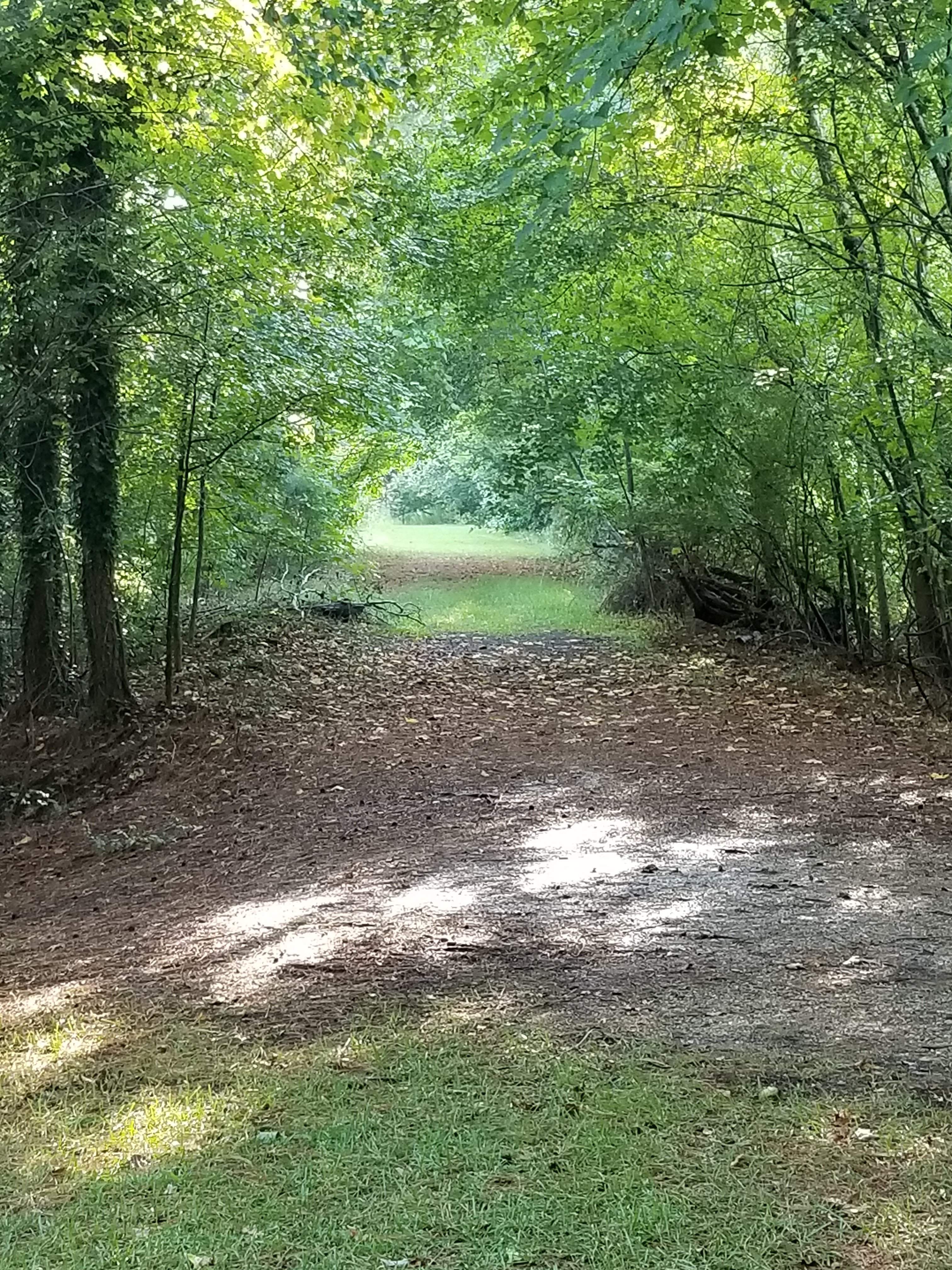 20180722_182001.jpg