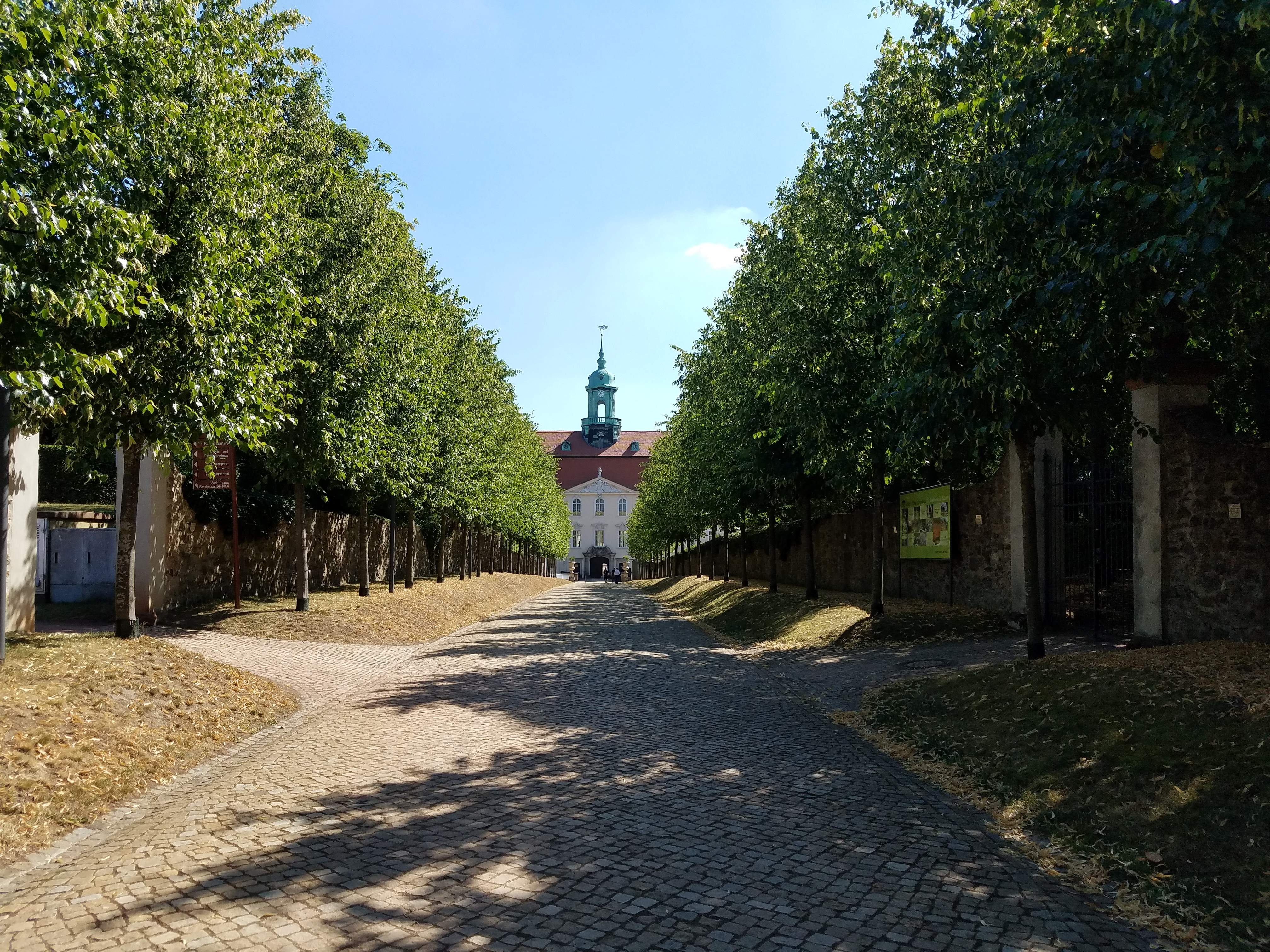 20180724_104219.jpg