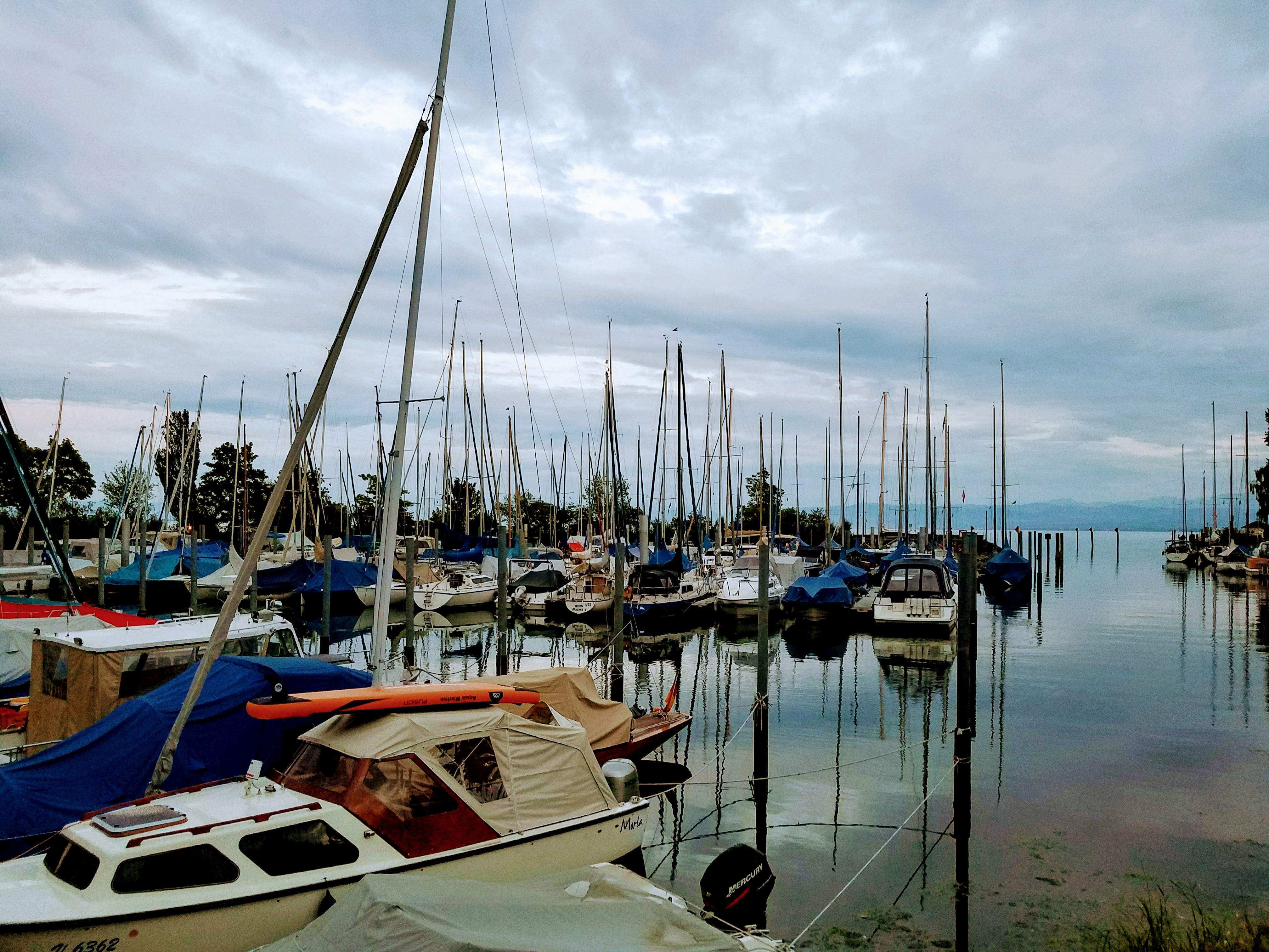 20180728_211024.jpg
