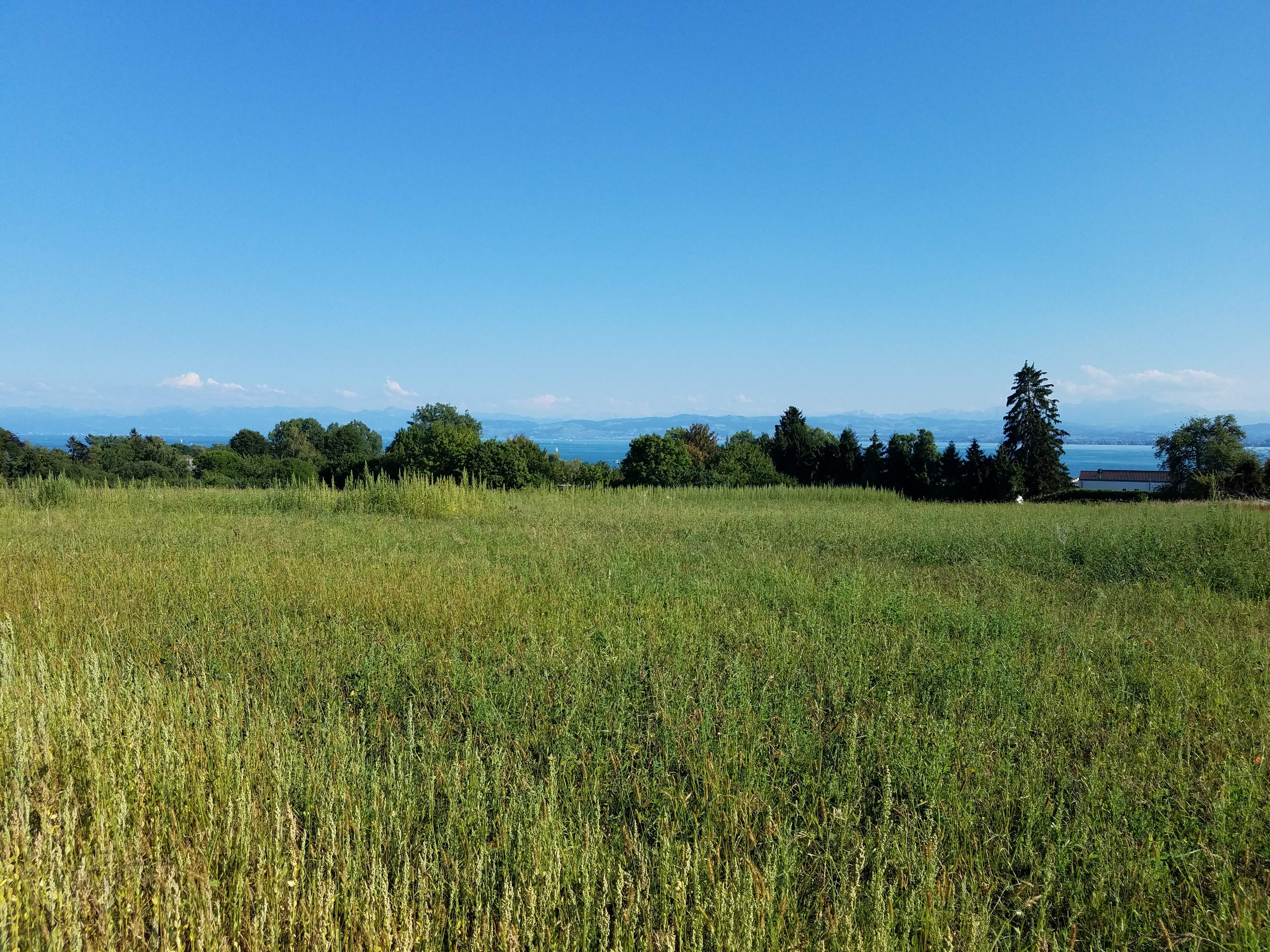 20180729_173648.jpg