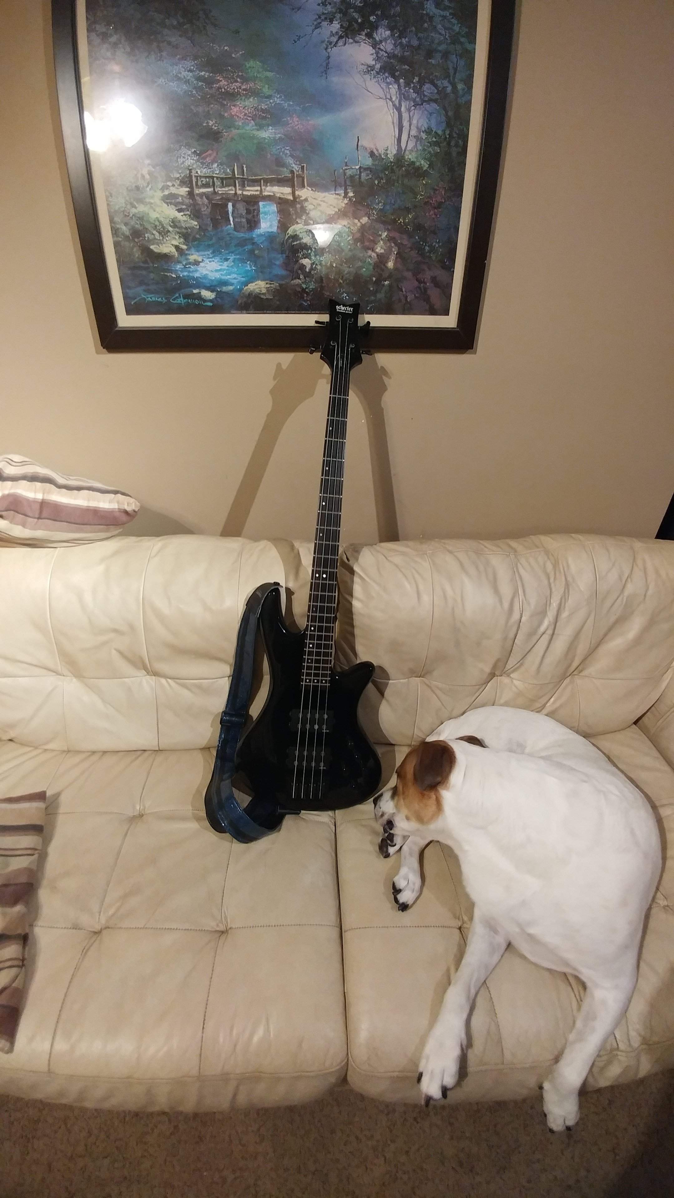 20180805_232218.jpg