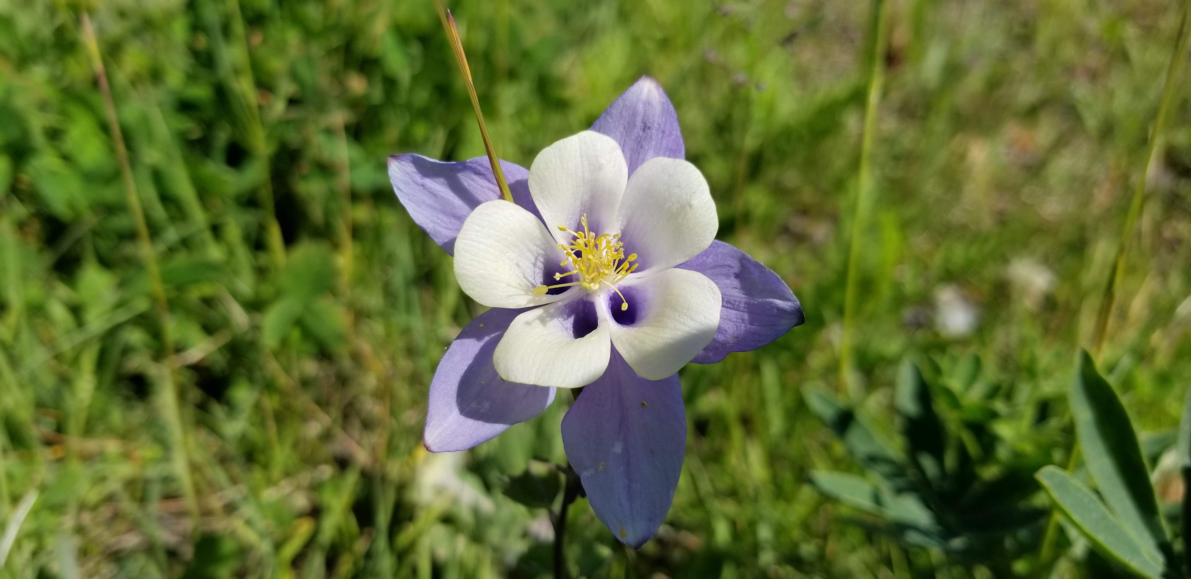 20180806_102421.jpg
