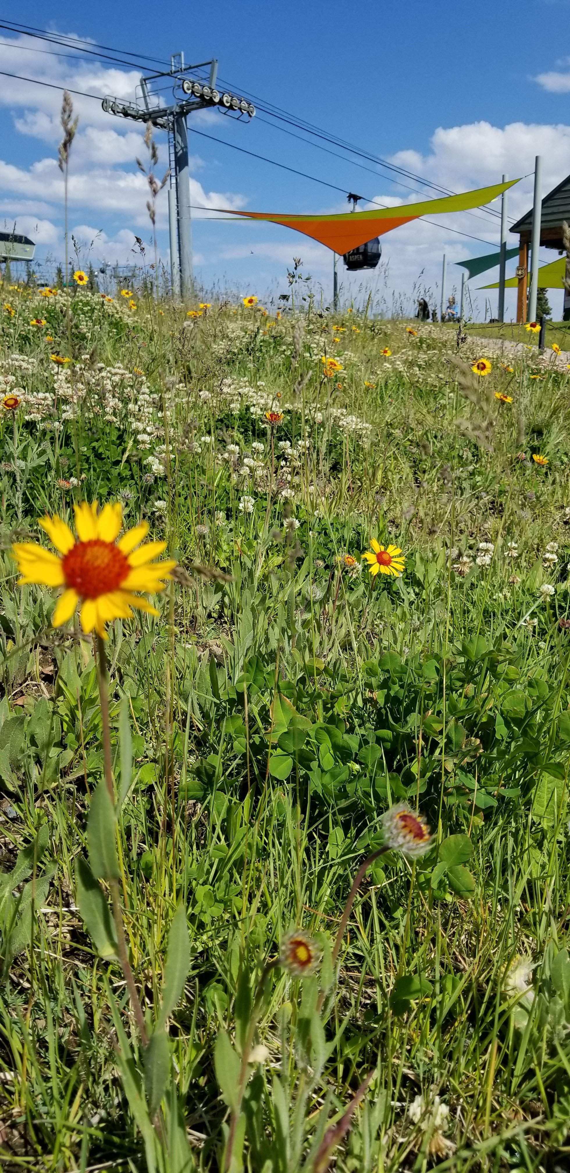 20180806_102424.jpg