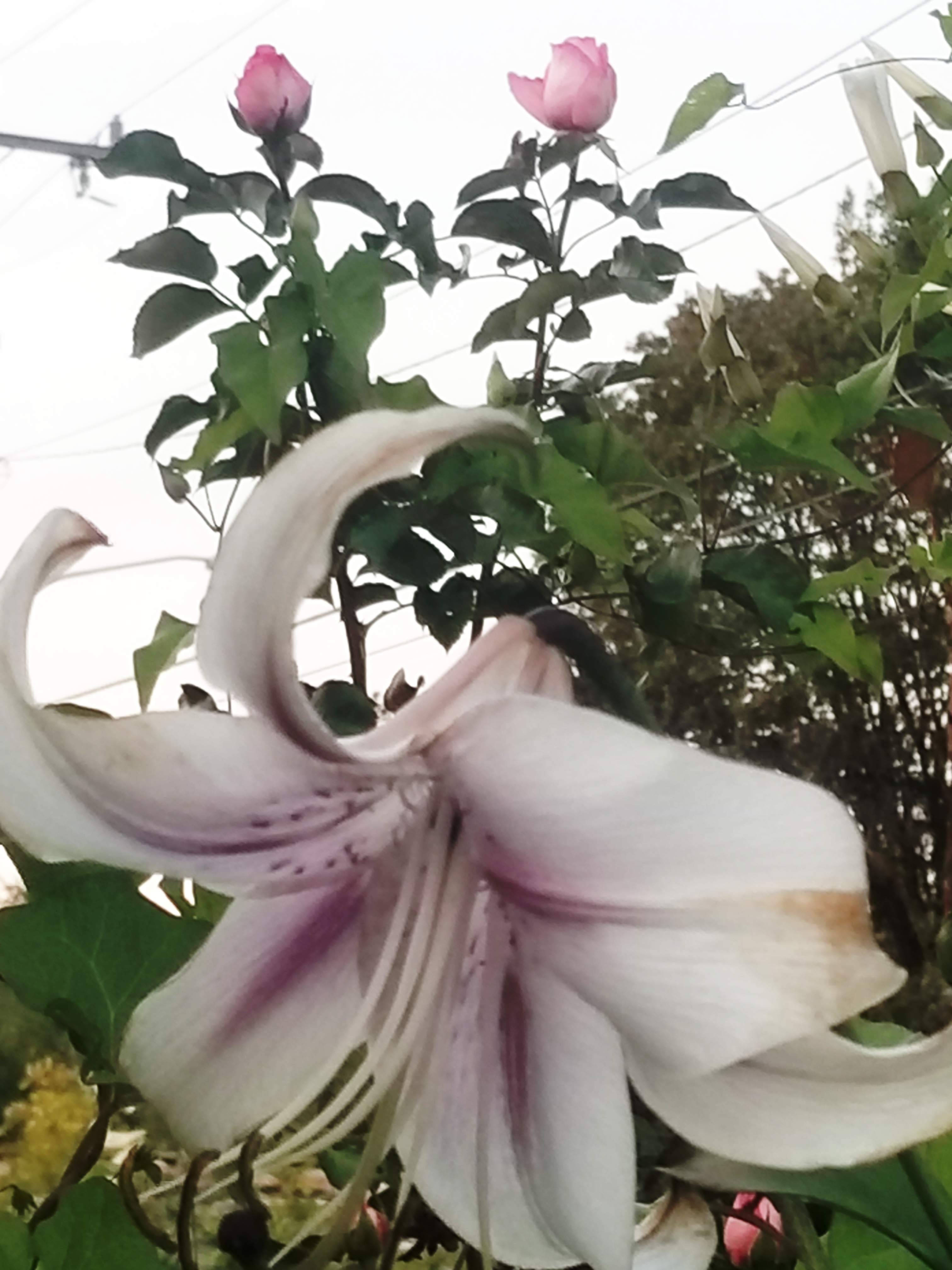 20180807_000612.jpg