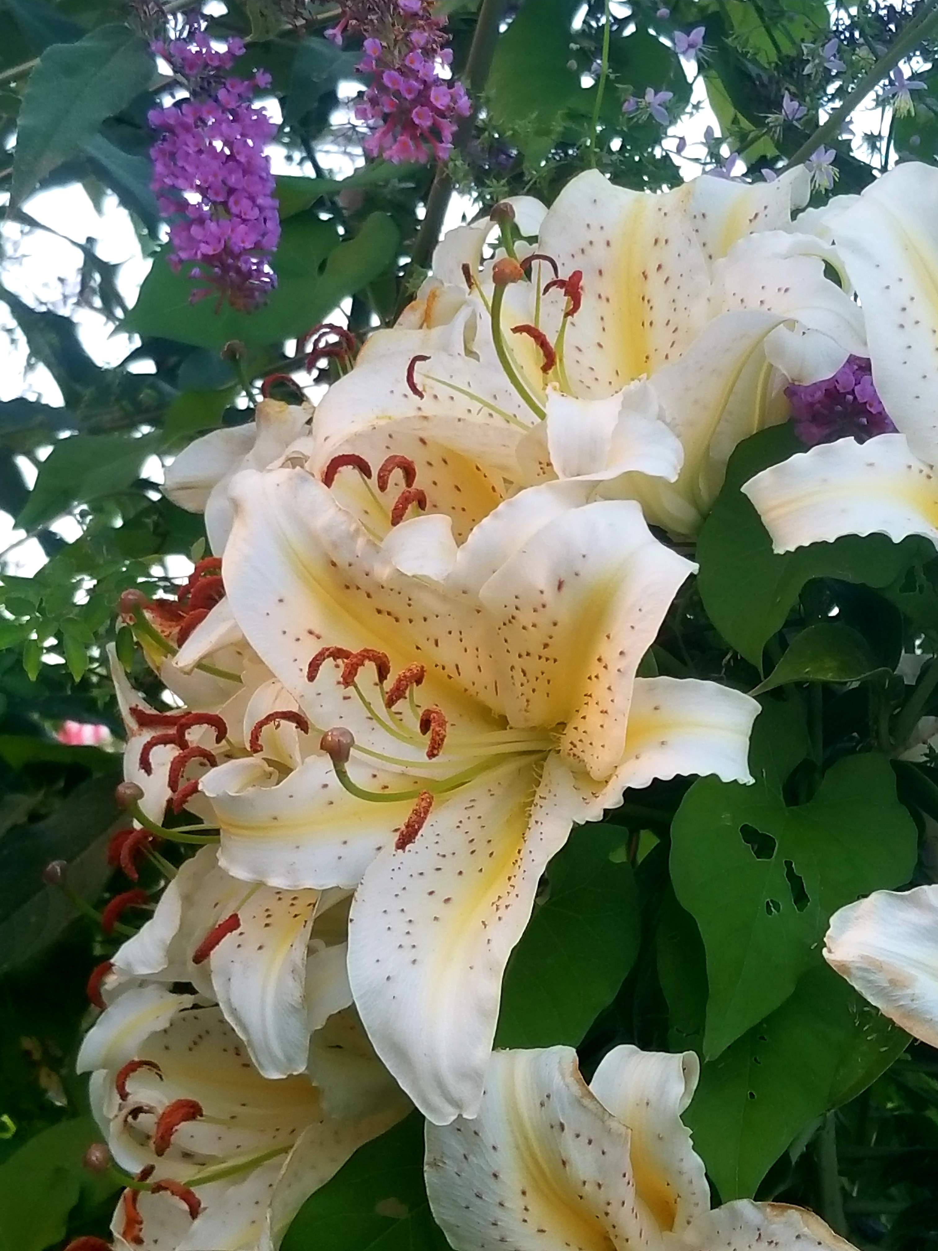 20180807_000631.jpg
