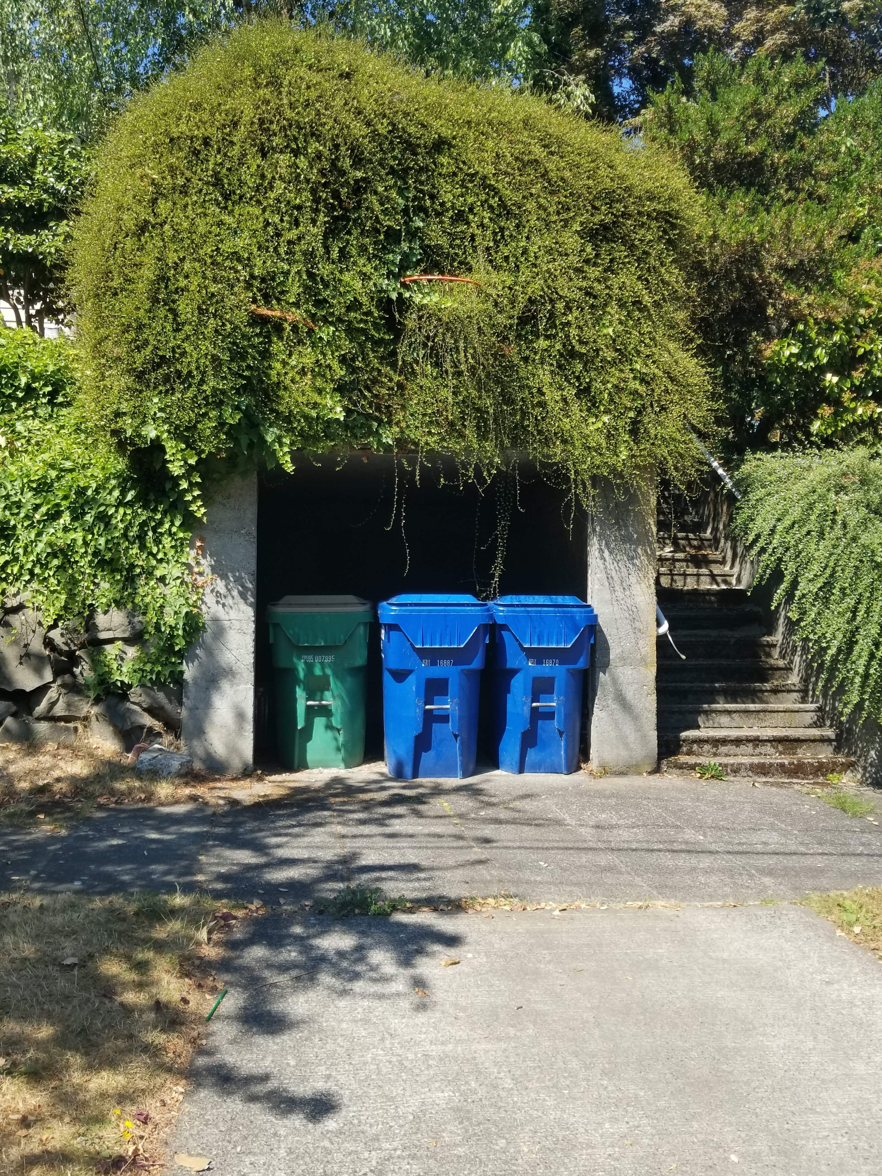 20180807_112331.jpg