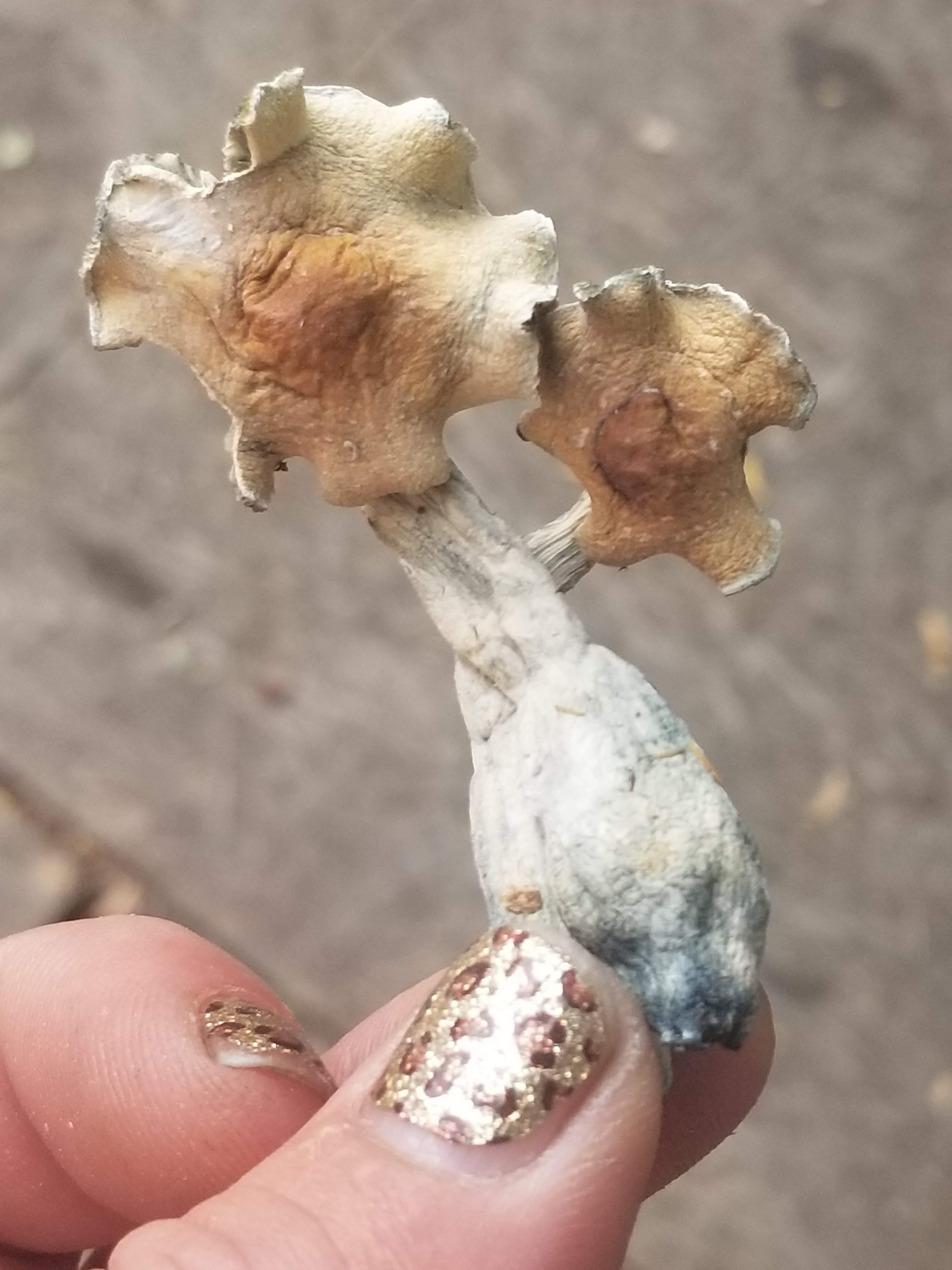 20180814_170053.jpg