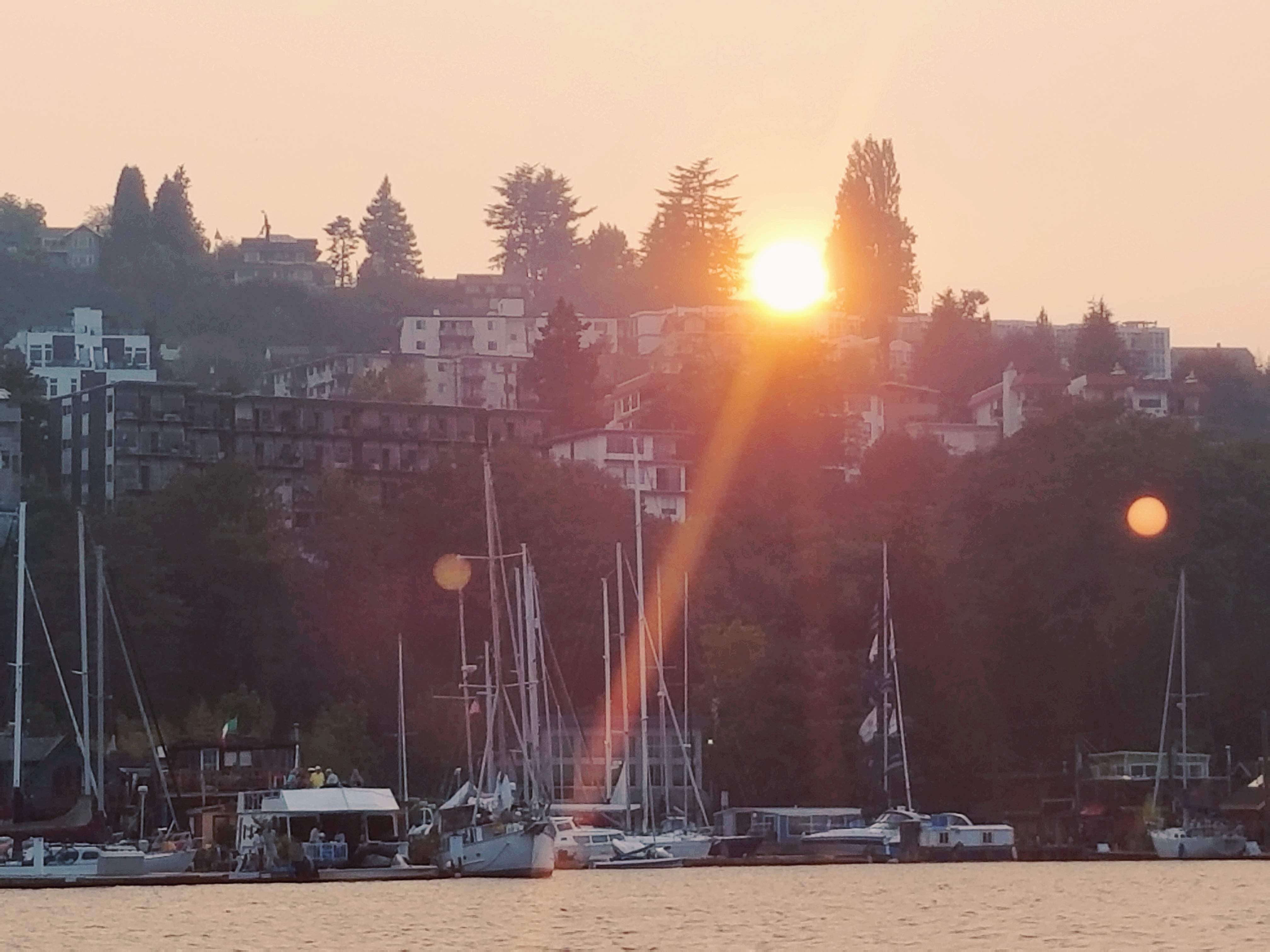 20180815_113420.jpg