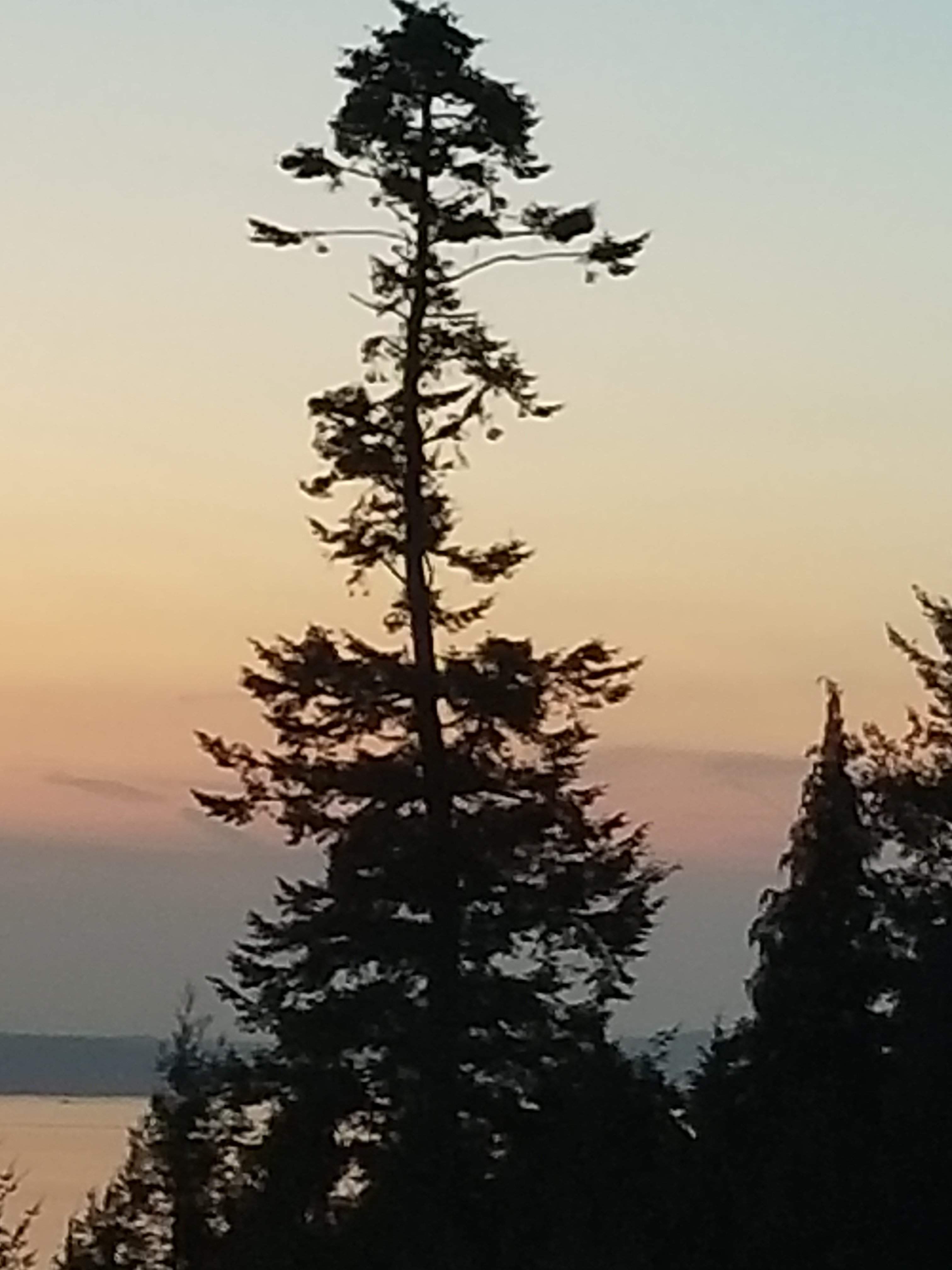 20180817_205047.jpg