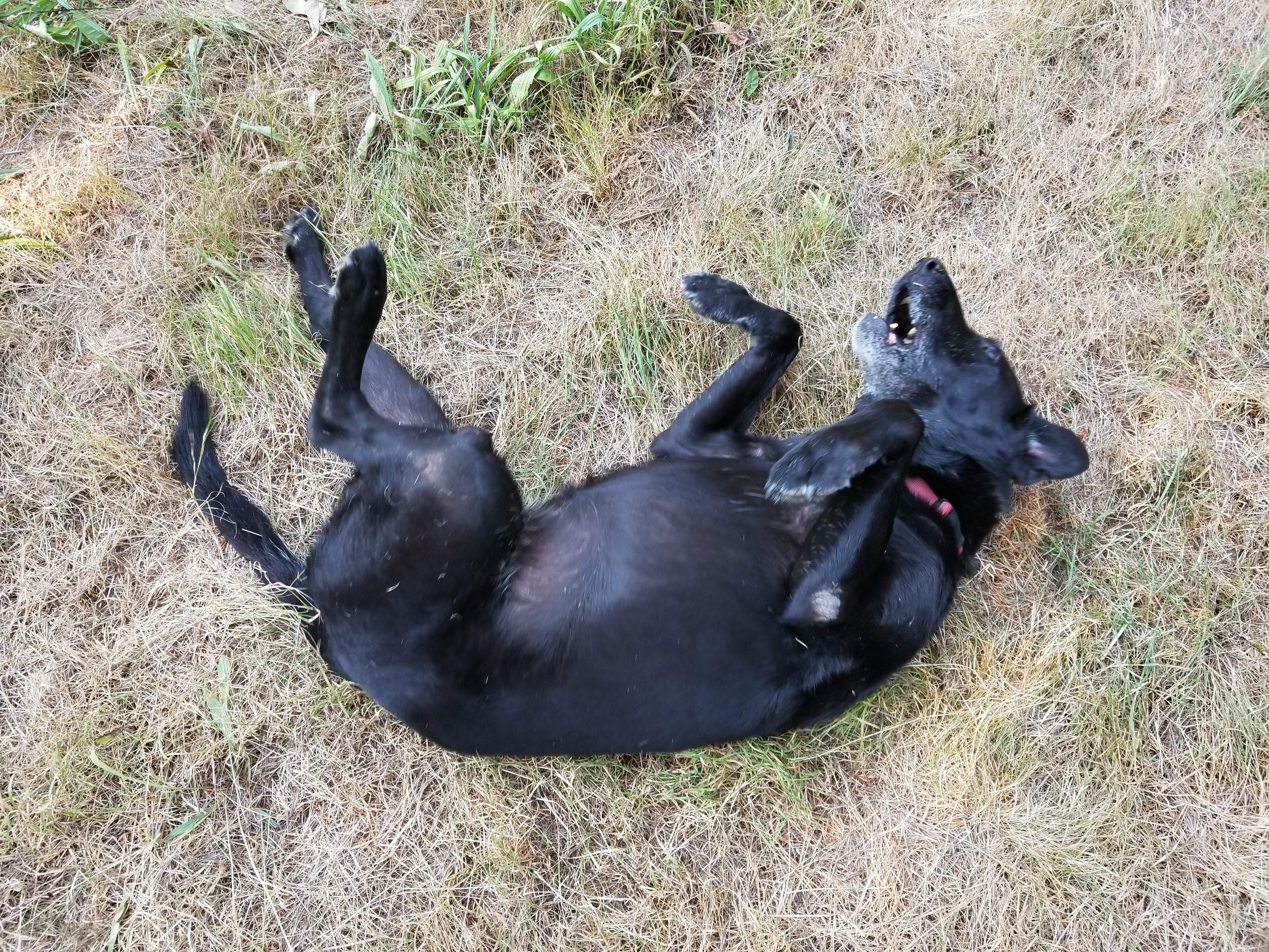 20180818_110608.jpg
