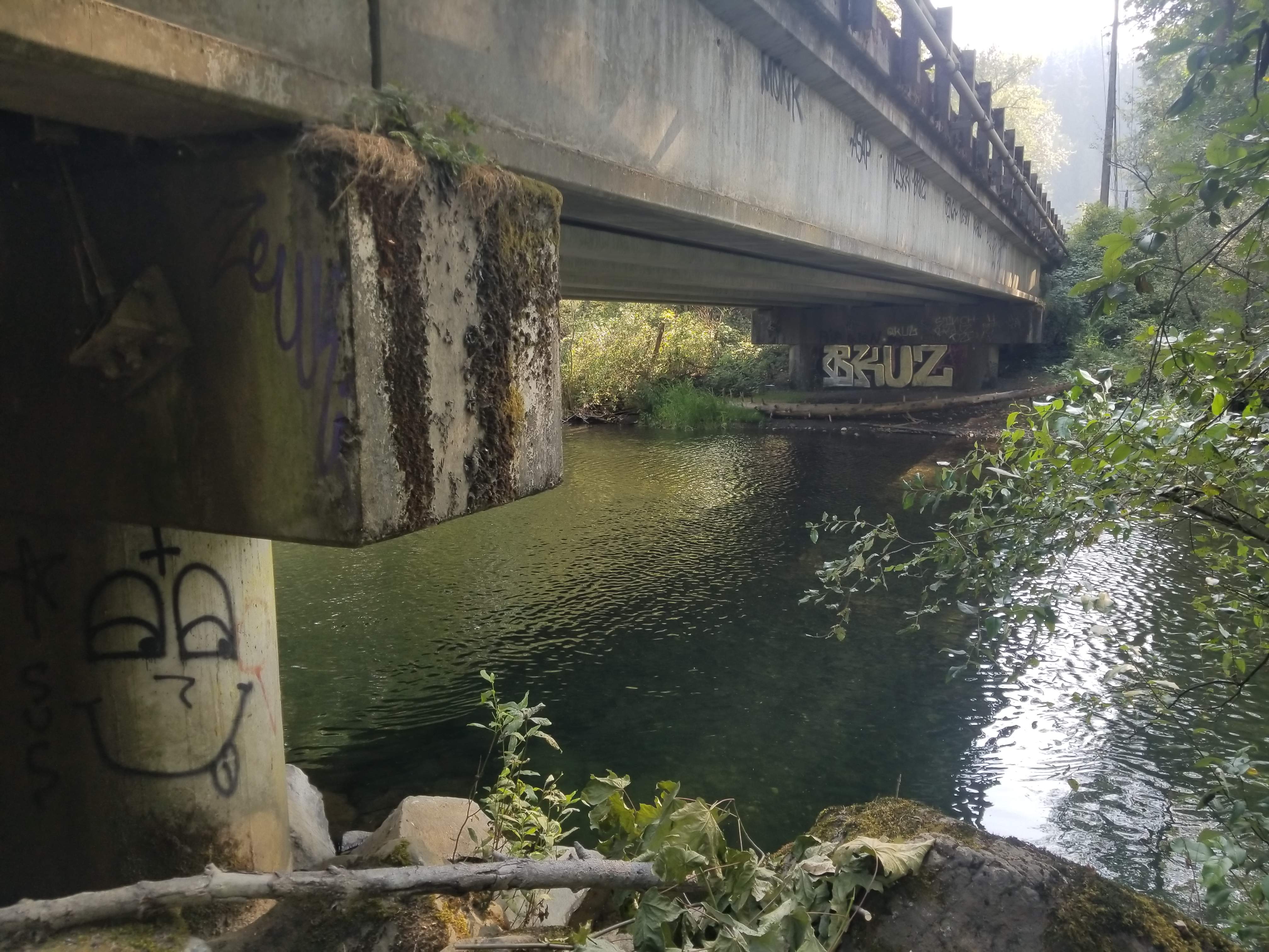 20180818_162413.jpg
